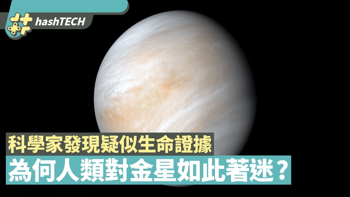 金星 科學家發現疑似存在生命證據為何人類對金星如此著迷 金星 科學家發現疑似存在生命證據為何人類對金星如此著迷