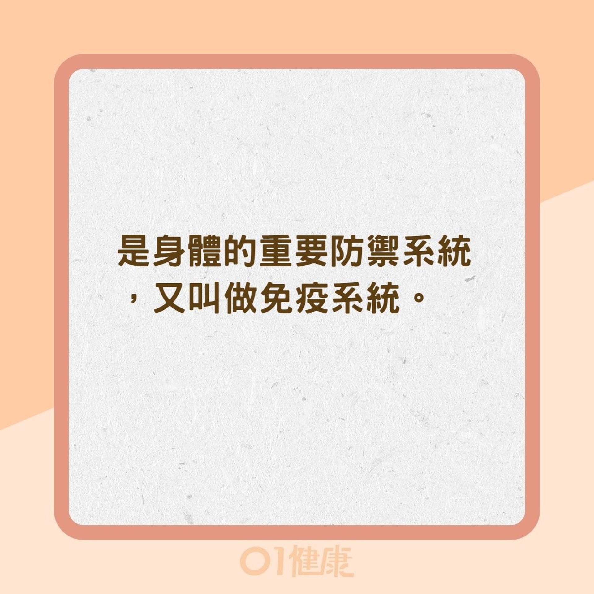 淋巴結是什麼?(01製圖) 淋巴結是什麼?(01製圖)