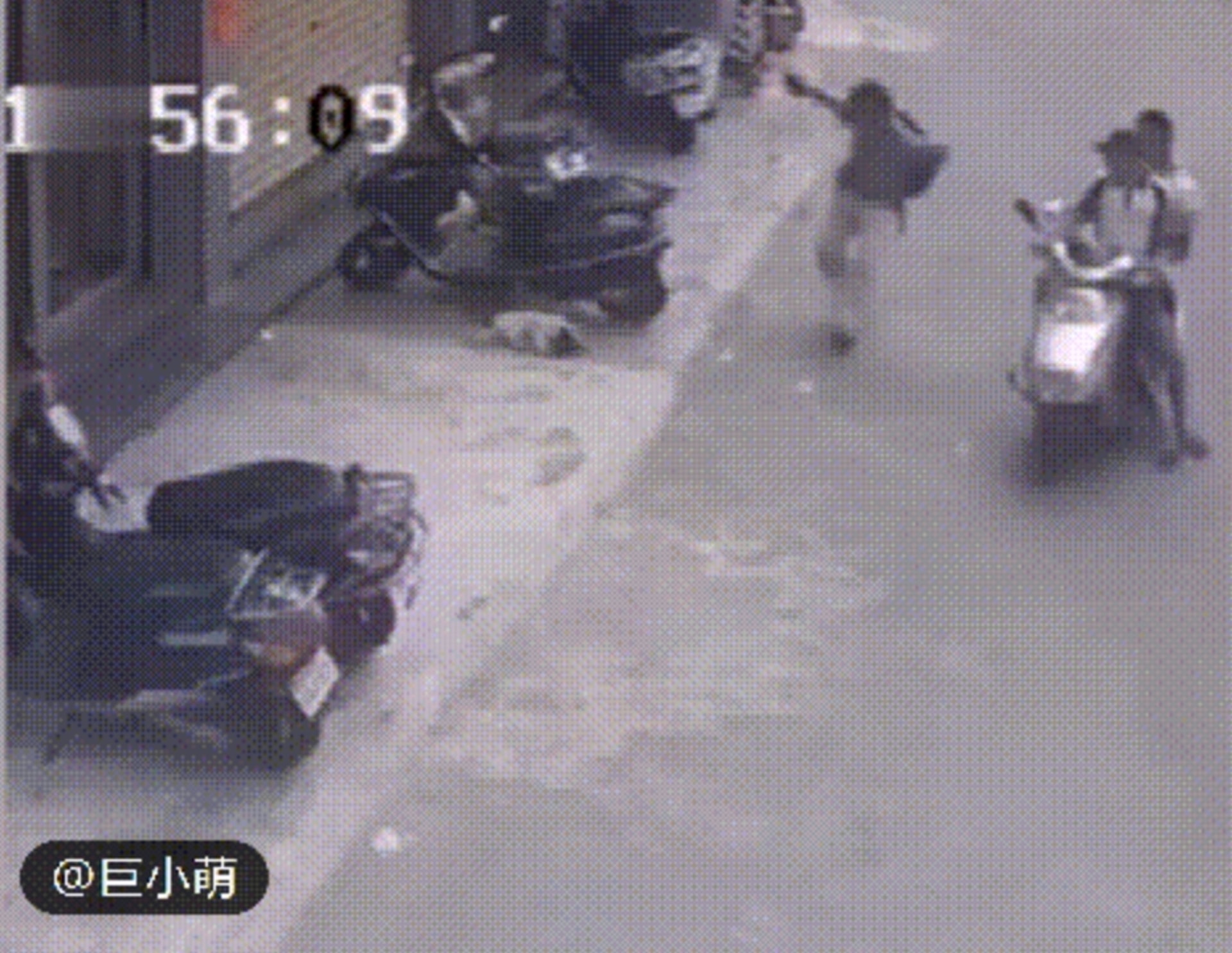 吉林路邊熟睡小狗突遭過路男子拿磚頭狠砸,惹起公憤。(視頻截圖:中國吉林網) 吉林路邊熟睡小狗突遭過路男子拿磚頭狠砸,惹起公憤。(視頻截圖:中國吉林網)