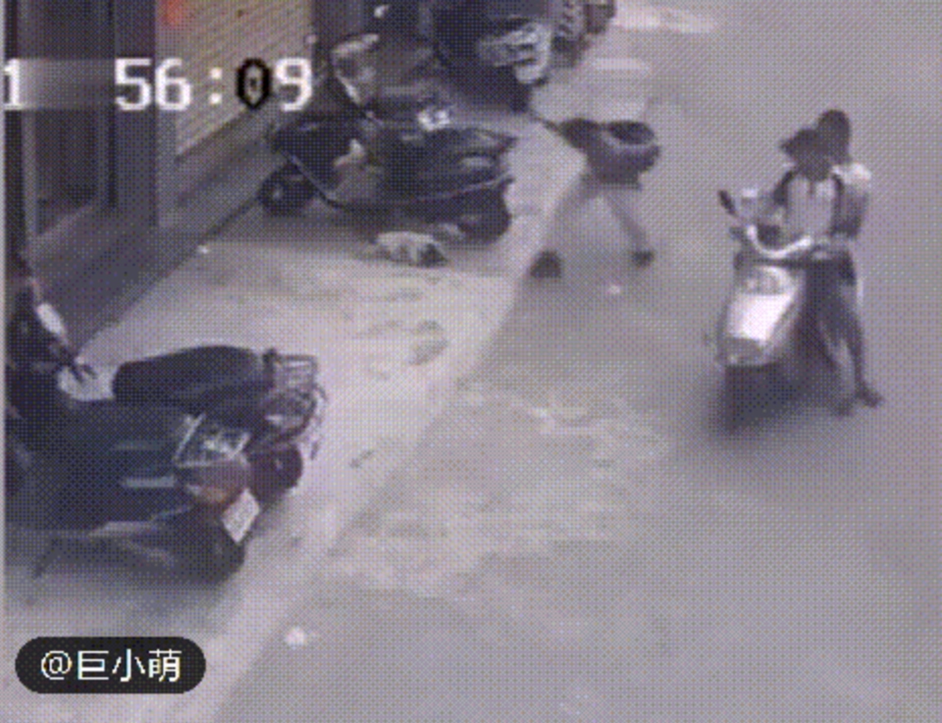 吉林路邊熟睡小狗突遭過路男子拿磚頭狠砸,惹起公憤。(視頻截圖:中國吉林網) 吉林路邊熟睡小狗突遭過路男子拿磚頭狠砸,惹起公憤。(視頻截圖:中國吉林網)