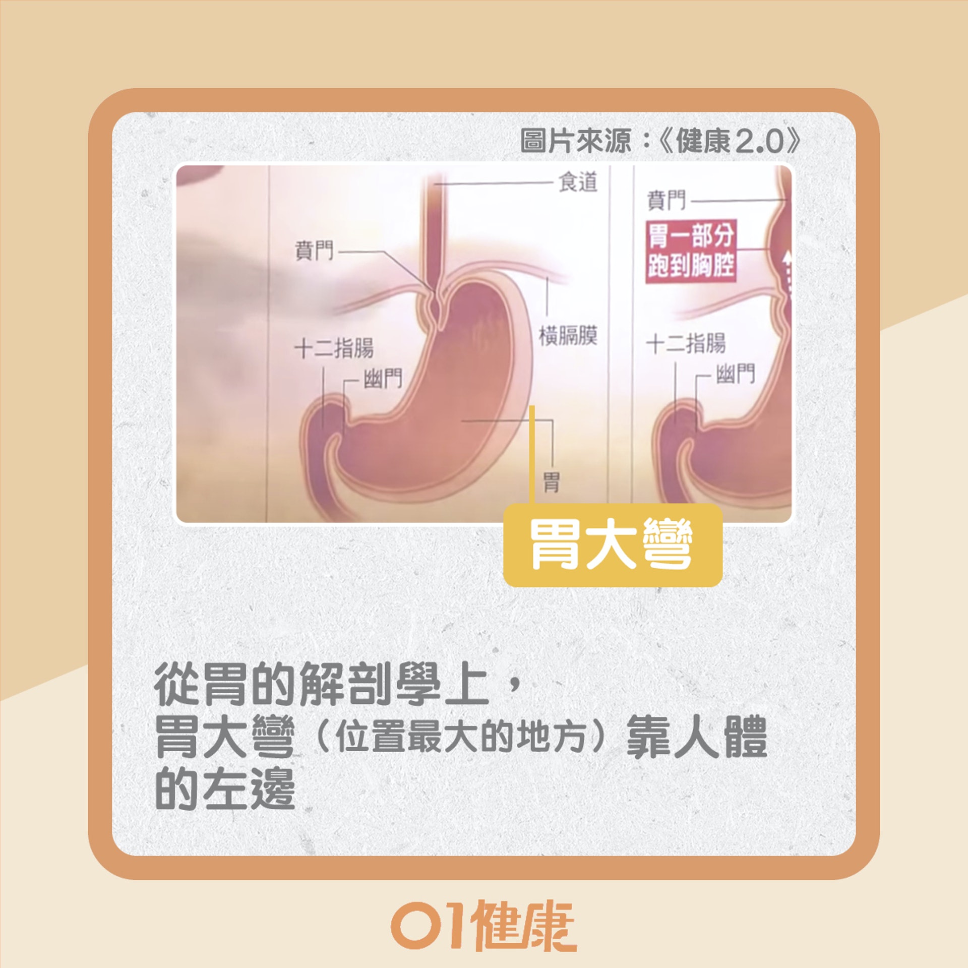 不同睡姿的影響（01製圖）