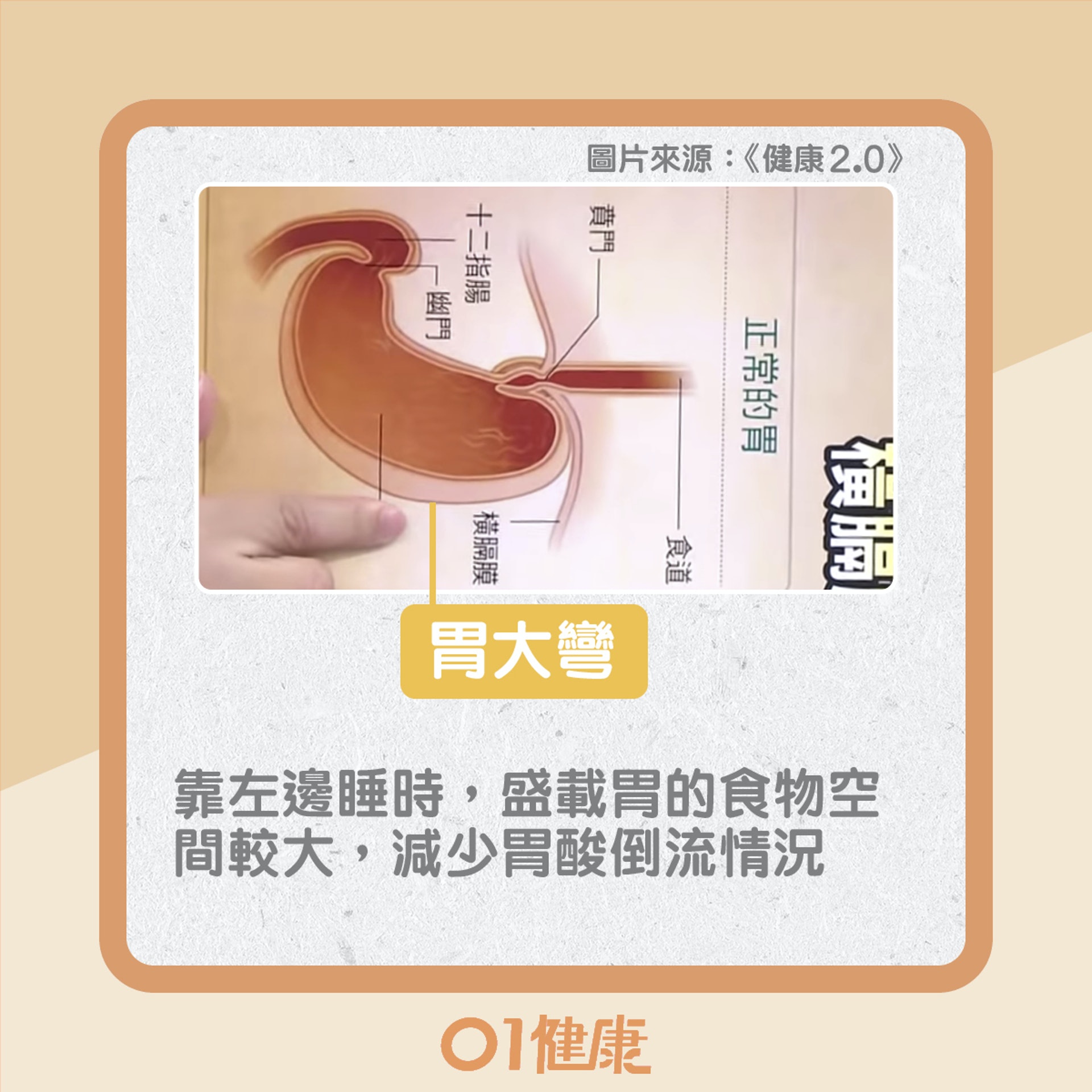 不同睡姿的影響(01製圖) 不同睡姿的影響(01製圖)