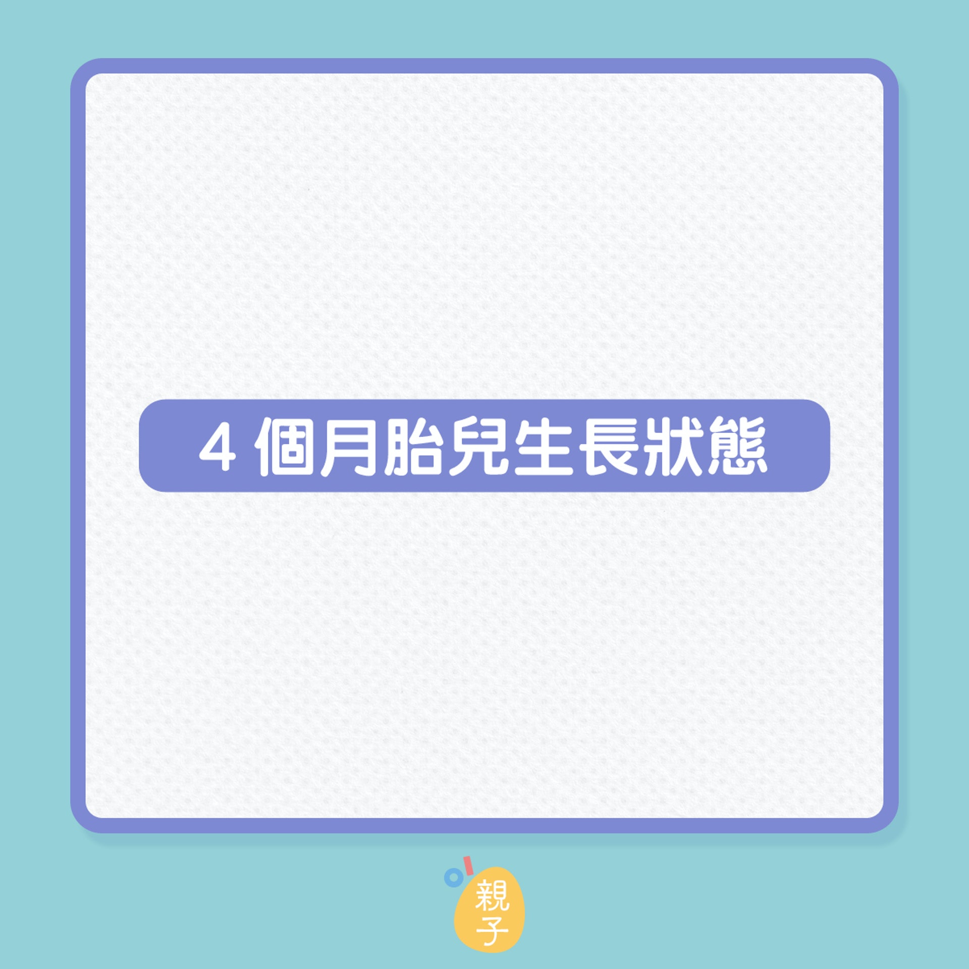 懷孕中期嬰兒成長狀況(01製圖) 懷孕中期嬰兒成長狀況(01製圖)