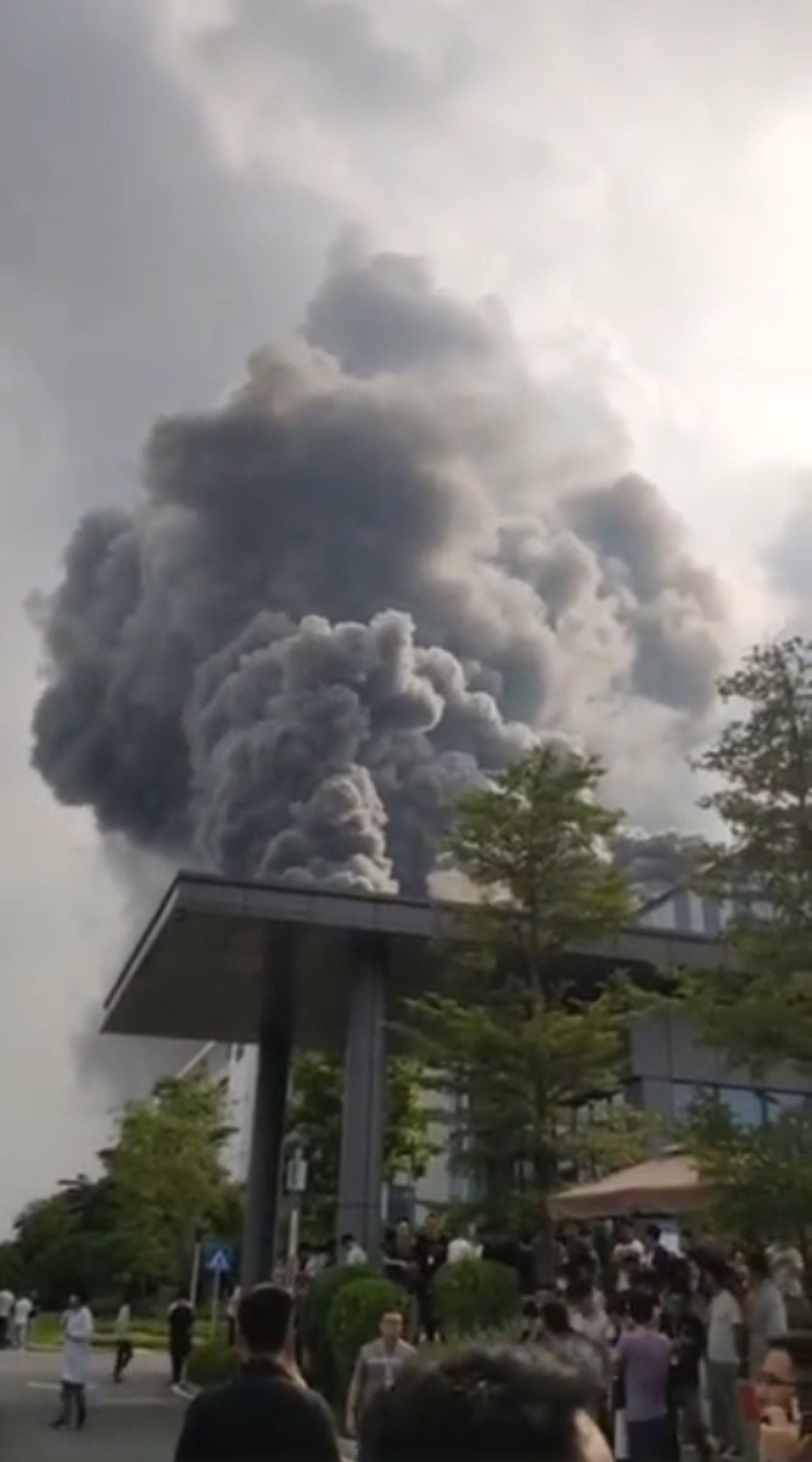 火勢相當猛烈。(微博) 火勢相當猛烈。(微博)