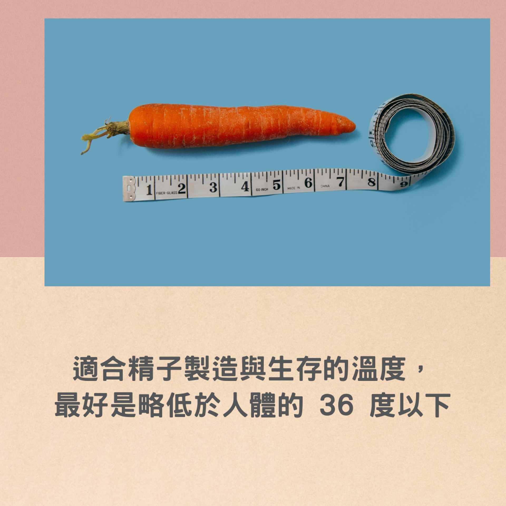 高溫會殺精子?(01製圖,Unsplash@Charles Deluvio) 高溫會殺精子?(01製圖,Unsplash@Charles Deluvio)