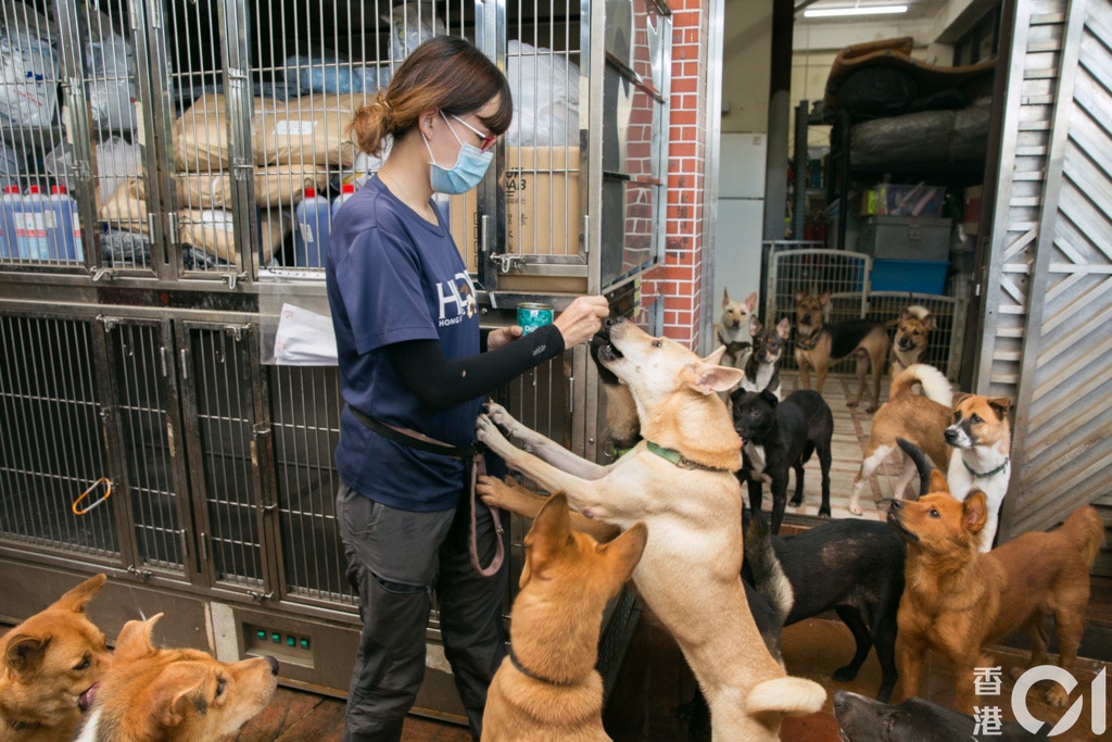 (攝影:黃寶瑩) (攝影:黃寶瑩)