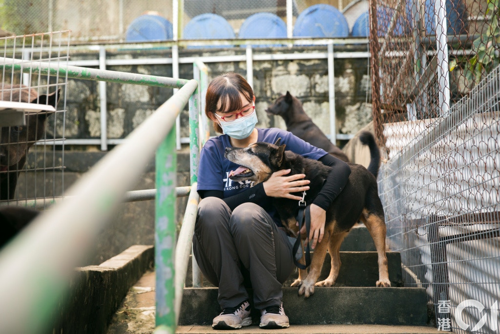 救狗之家負責人Eva指出每年接收逾100隻家中因BB出世而棄養的狗隻(攝影:黃寶瑩) 救狗之家負責人Eva指出每年接收逾100隻家中因BB出世而棄養的狗隻(攝影:黃寶瑩)