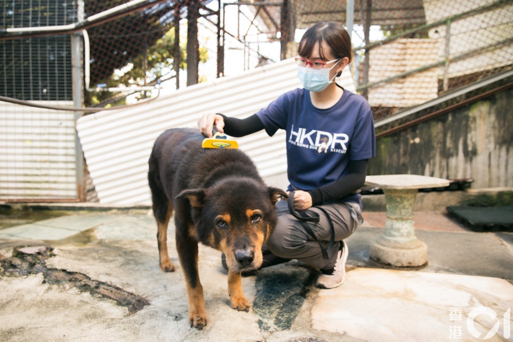 (攝影:黃寶瑩) (攝影:黃寶瑩)