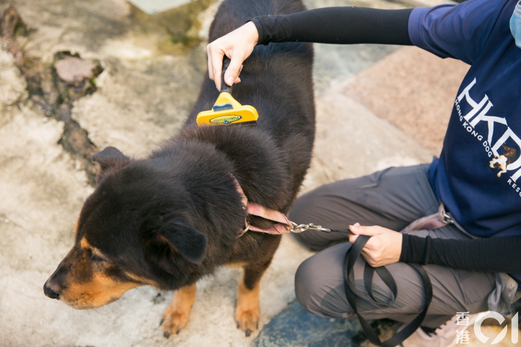 (攝影:黃寶瑩) (攝影:黃寶瑩)