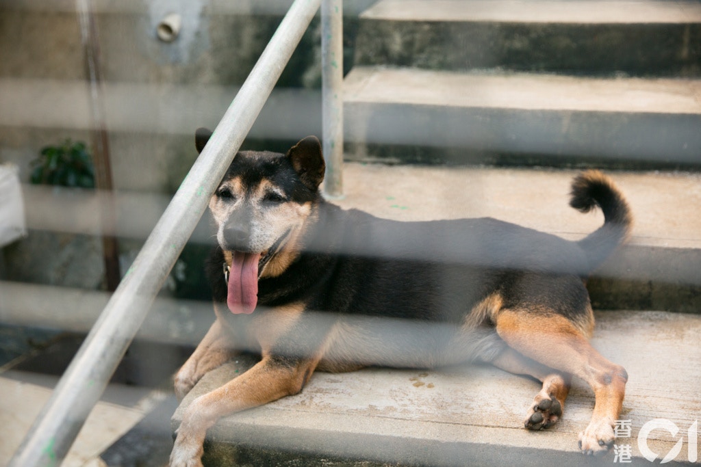 (攝影:黃寶瑩) (攝影:黃寶瑩)