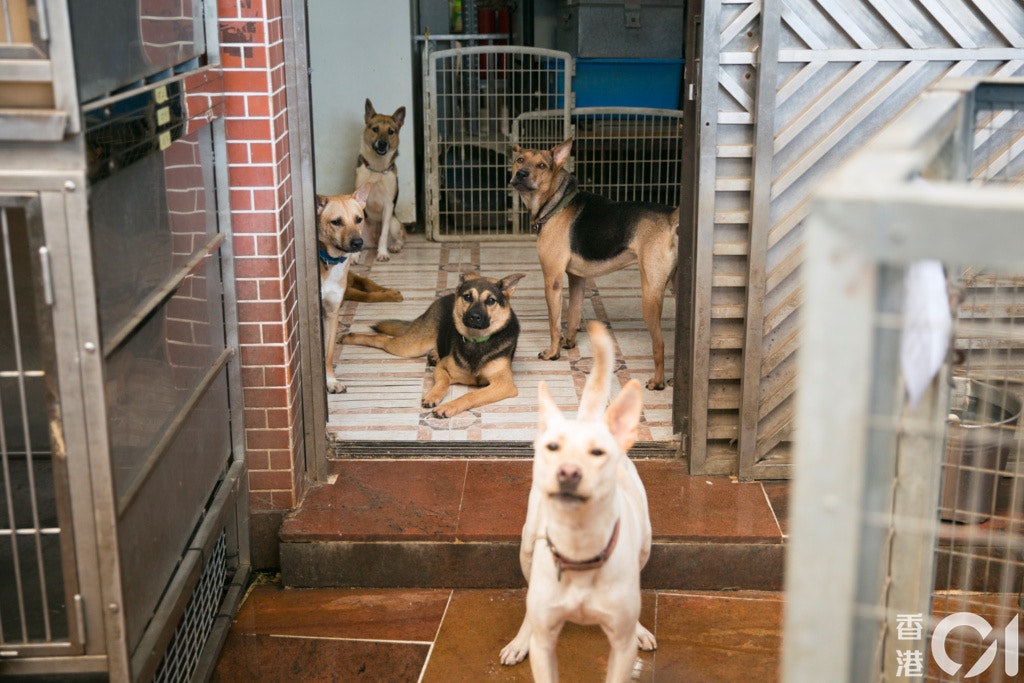 (攝影:黃寶瑩) (攝影:黃寶瑩)