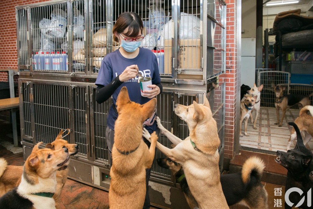 (攝影:黃寶瑩) (攝影:黃寶瑩)