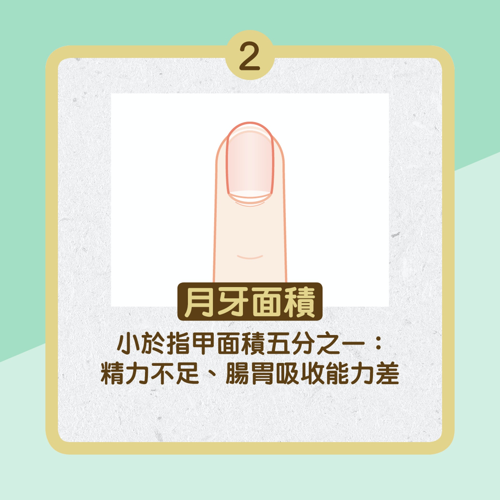 月牙大小反映健康(01製圖) 月牙大小反映健康(01製圖)