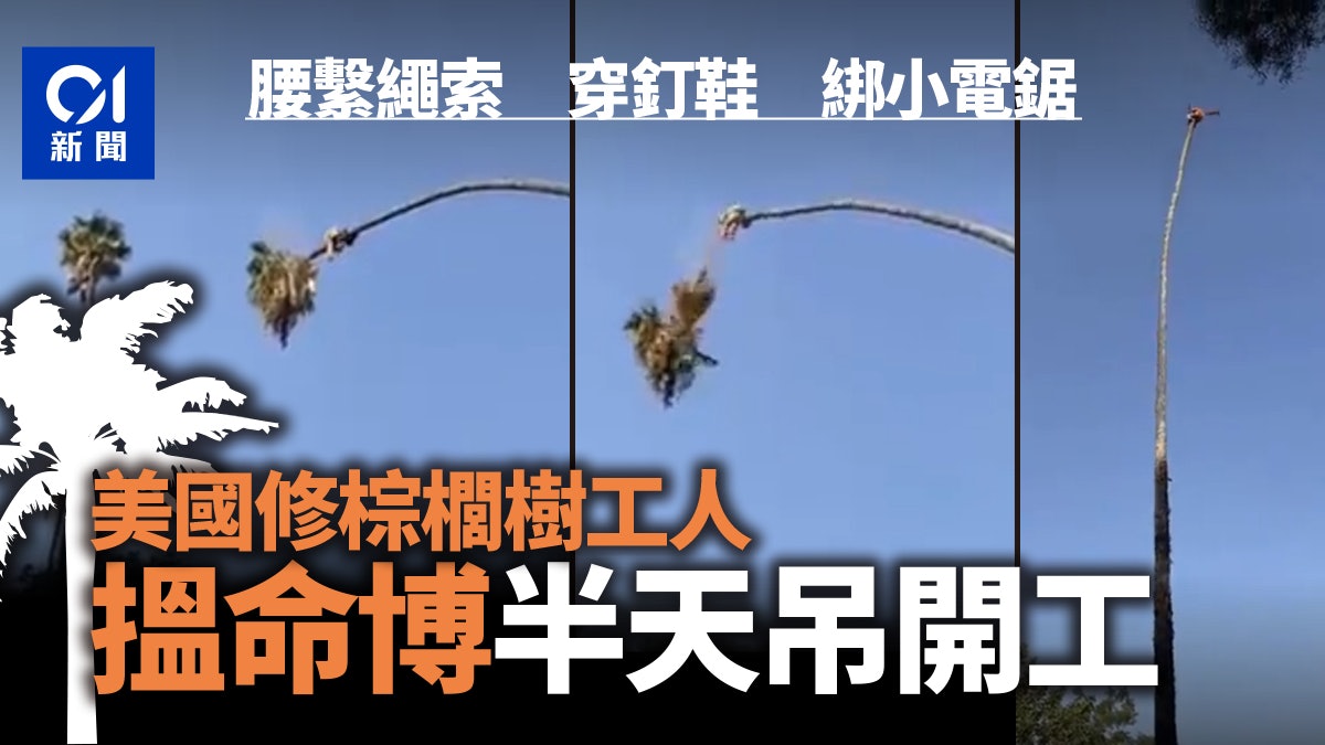 另類行業|半空擺盪賺血汗錢 網瘋傳影片男子修樹過程險象環生 另類行業|半空擺盪賺血汗錢 網瘋傳影片男子修樹過程險象環生