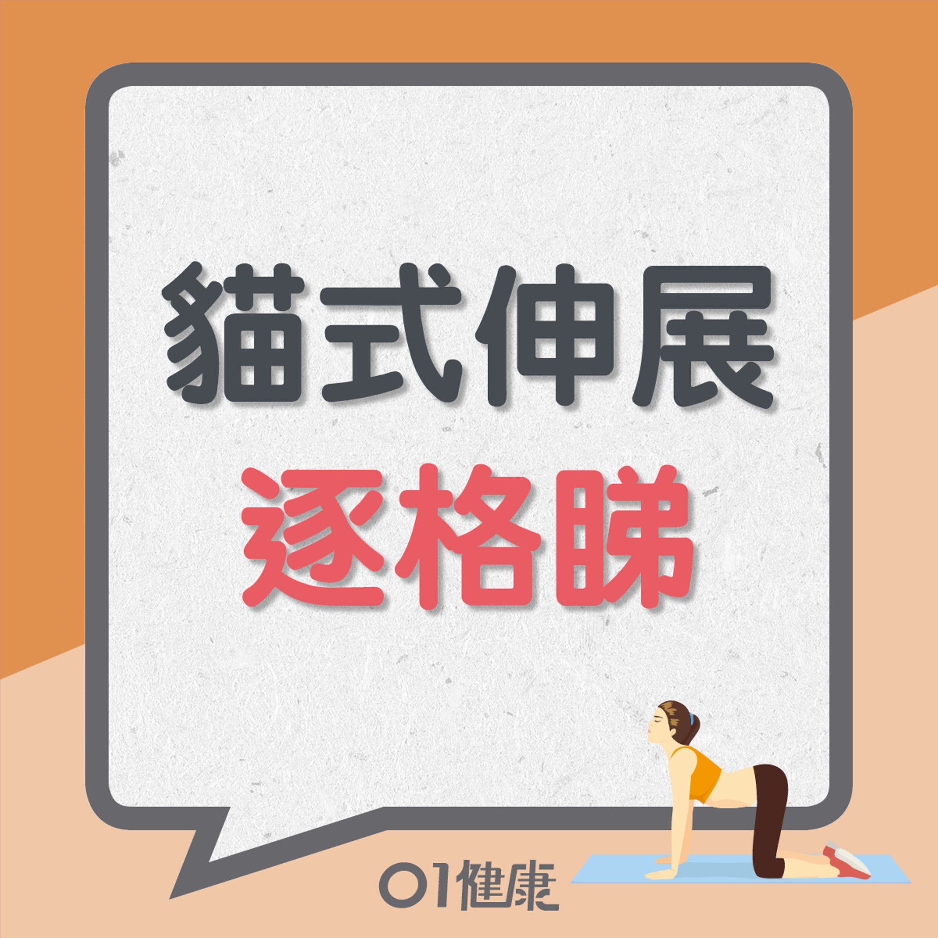 貓式伸展逐格睇(01製圖) 貓式伸展逐格睇(01製圖)
