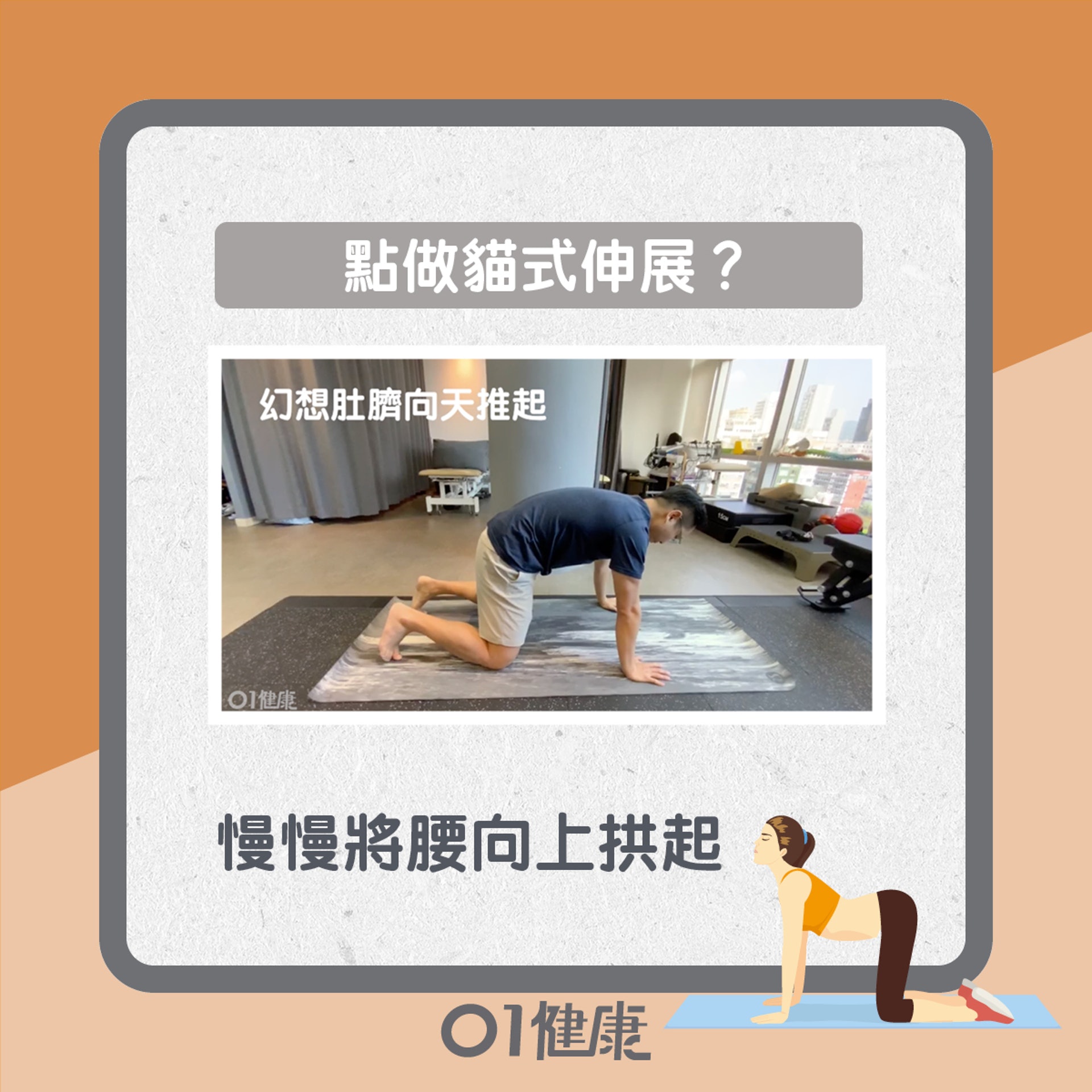 貓式伸展逐格睇(01製圖) 貓式伸展逐格睇(01製圖)