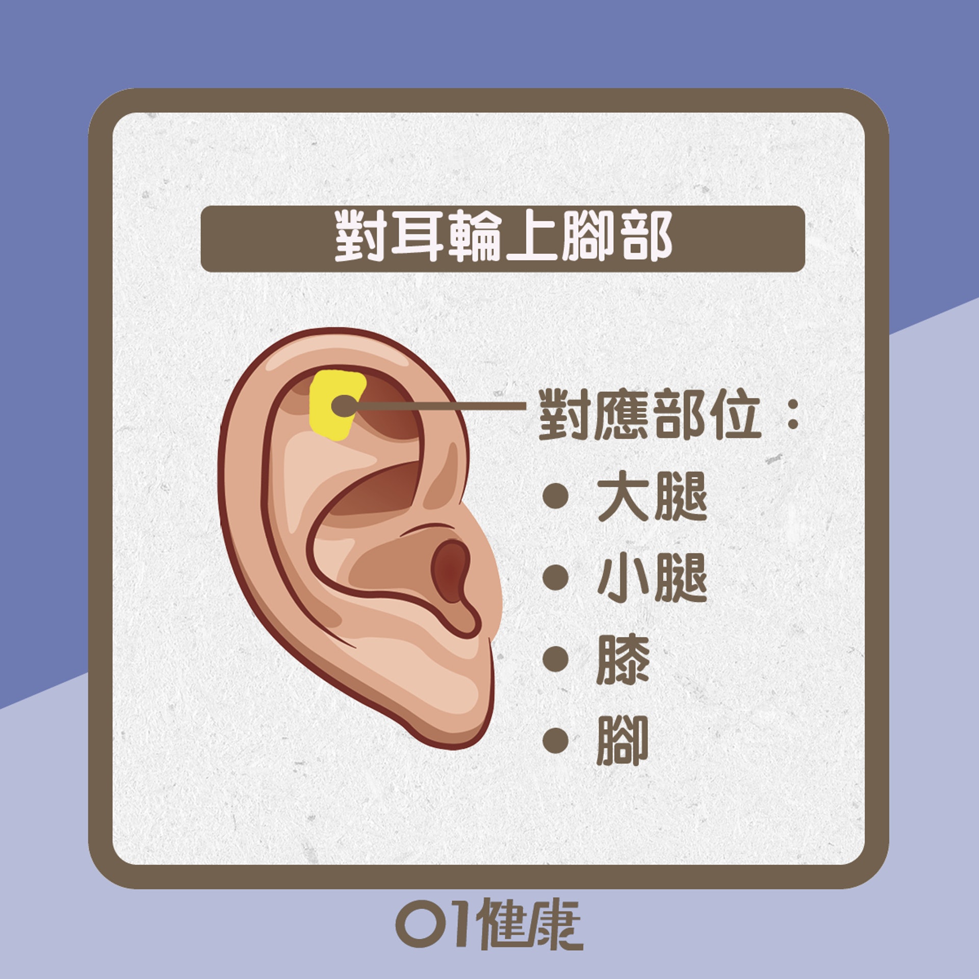 紓緩腳痛耳穴(01製圖) 紓緩腳痛耳穴(01製圖)