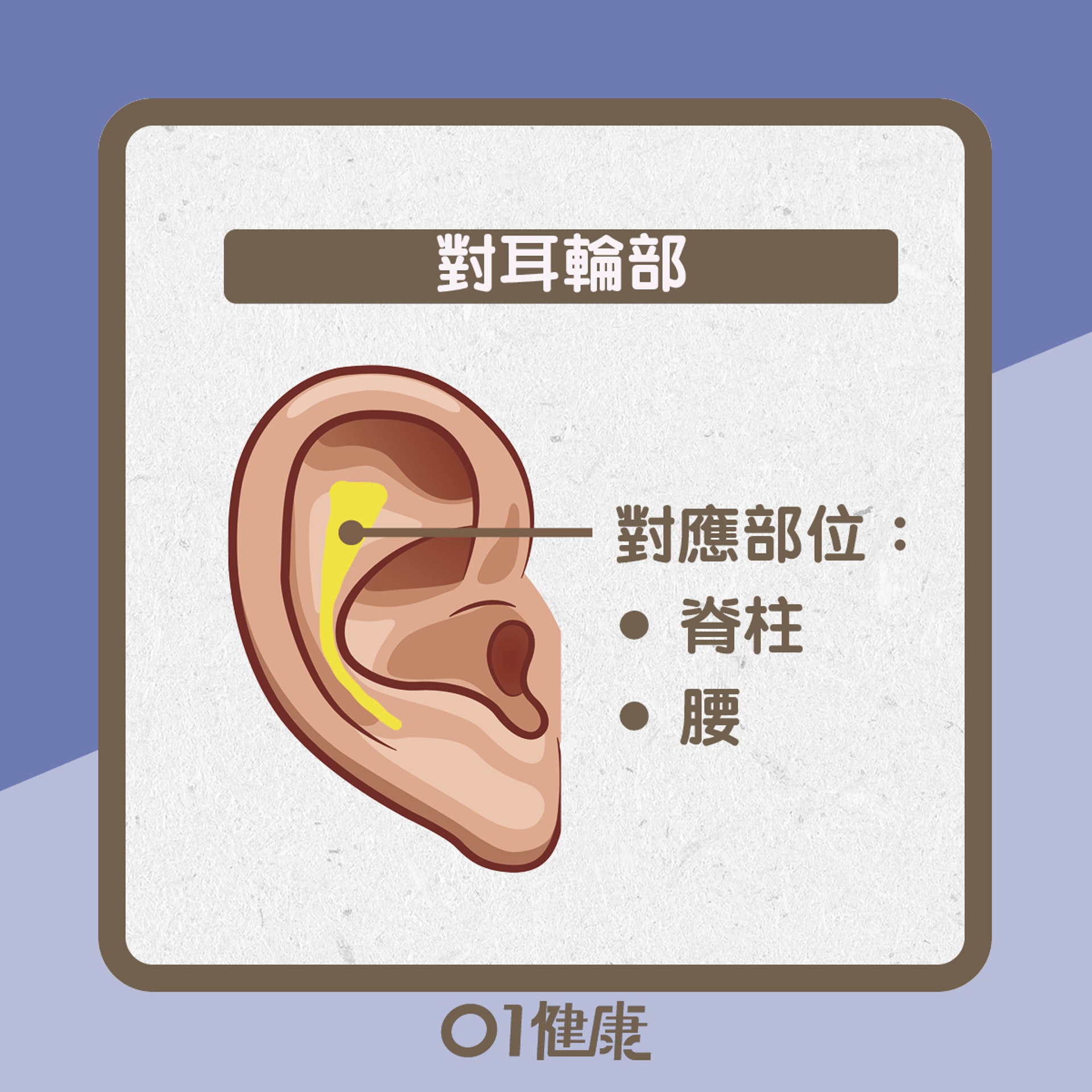 紓緩腰痛耳穴(01製圖) 紓緩腰痛耳穴(01製圖)