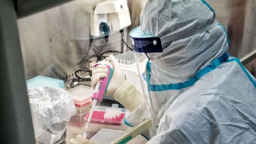核酸檢測。(網上圖片) 核酸檢測。(網上圖片)