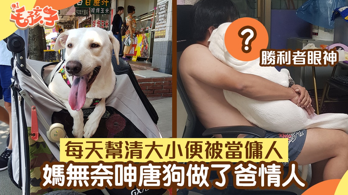 唐狗變心每天纏爸放閃 媽每天幫剷屎剷尿 呻被當傭人超無奈 唐狗變心每天纏爸放閃 媽每天幫剷屎剷尿 呻被當傭人超無奈