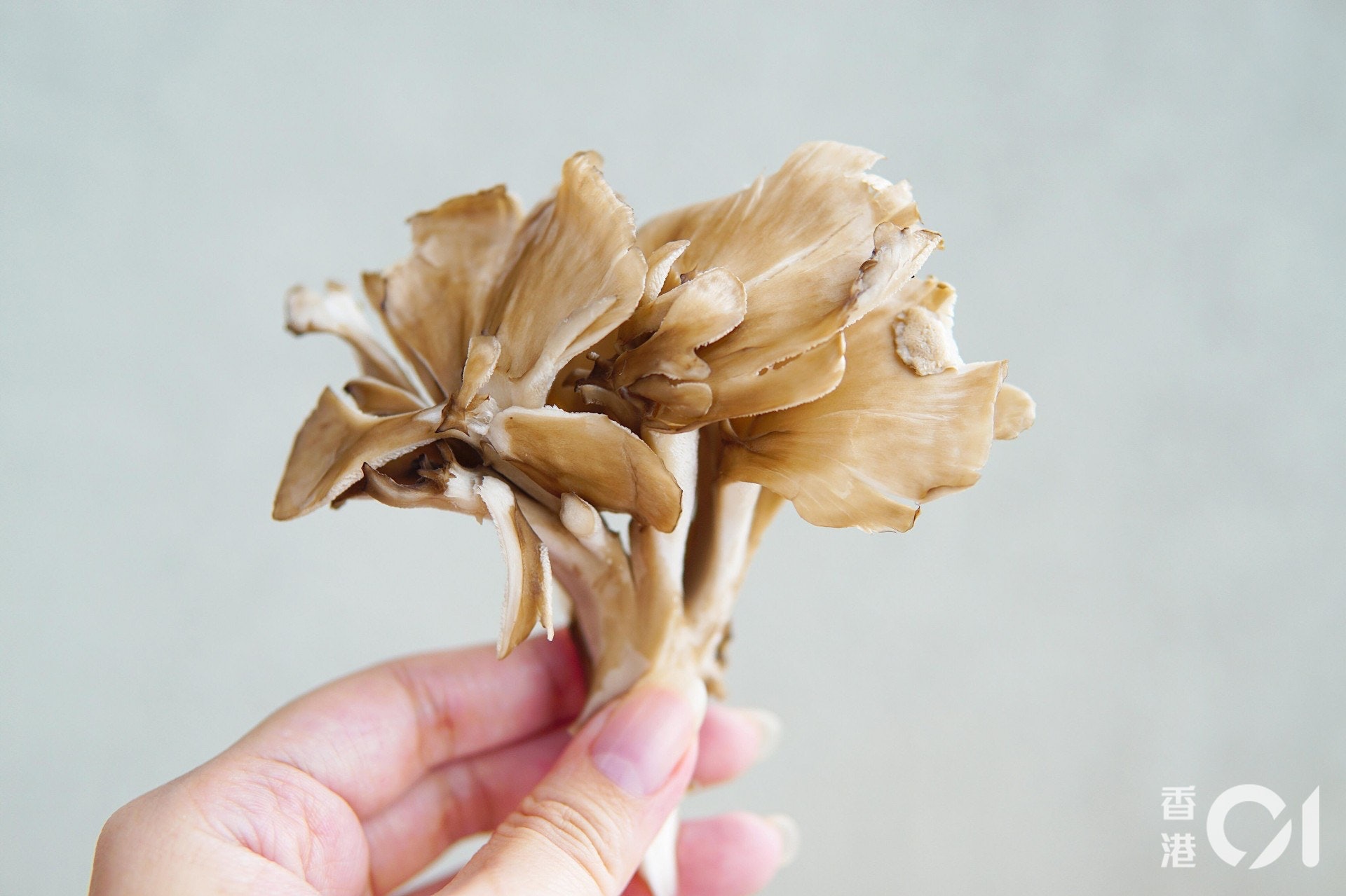 降血糖食物 舞茸湯舞茸飯簡單易做維持血管年輕防三高減肚腩 香港01 教煮 降血糖食物 舞茸湯舞茸飯簡單易做維持血管年輕防三高減肚腩 香港01 教煮