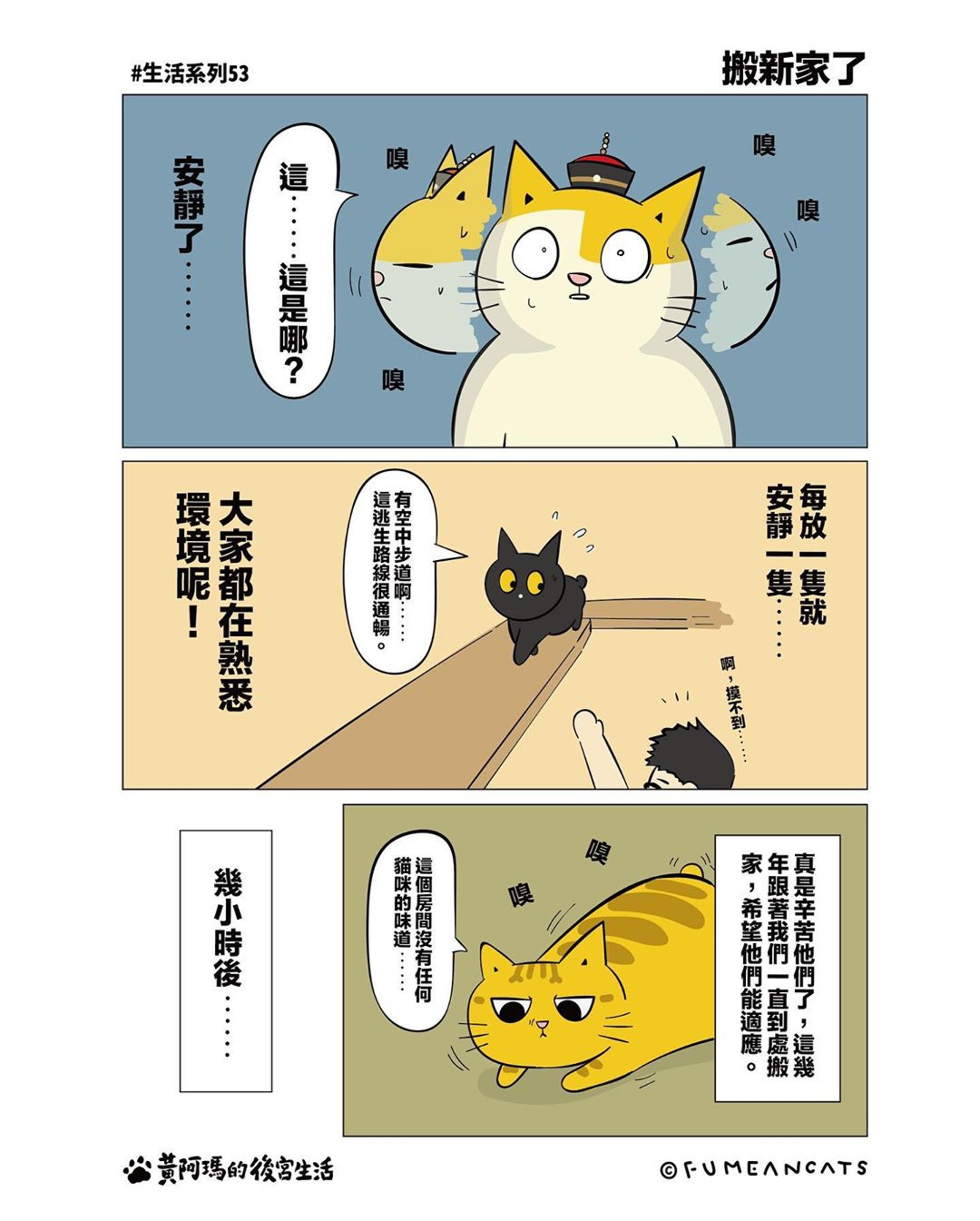 專訪台灣最具人氣 貓網紅 黃阿瑪出漫畫紀錄爆笑日常超療癒 香港01 熱爆話題