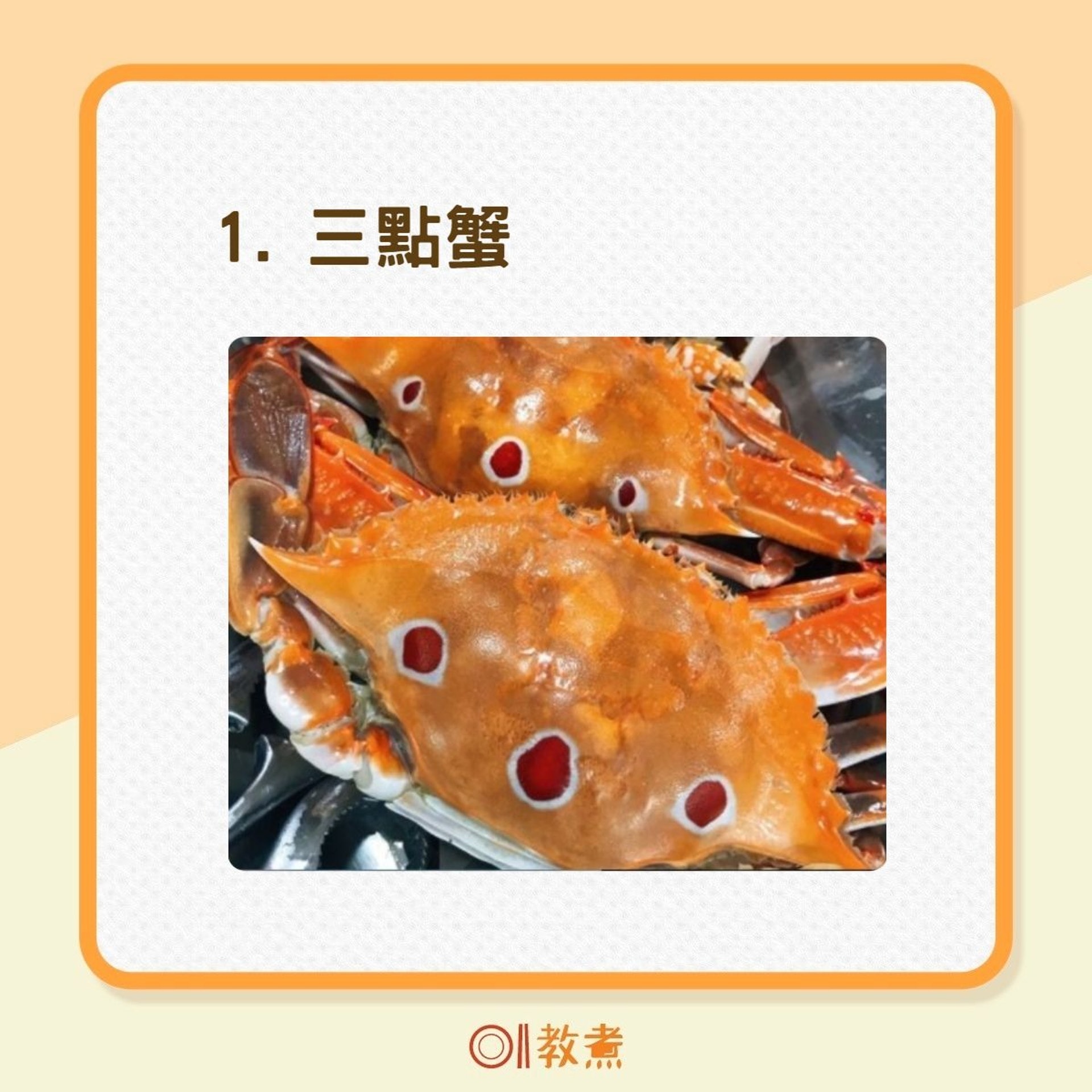 食蟹季節 7種螃蟹最佳食用時間 烹調方法花蟹最啱隔水清蒸 香港01 教煮