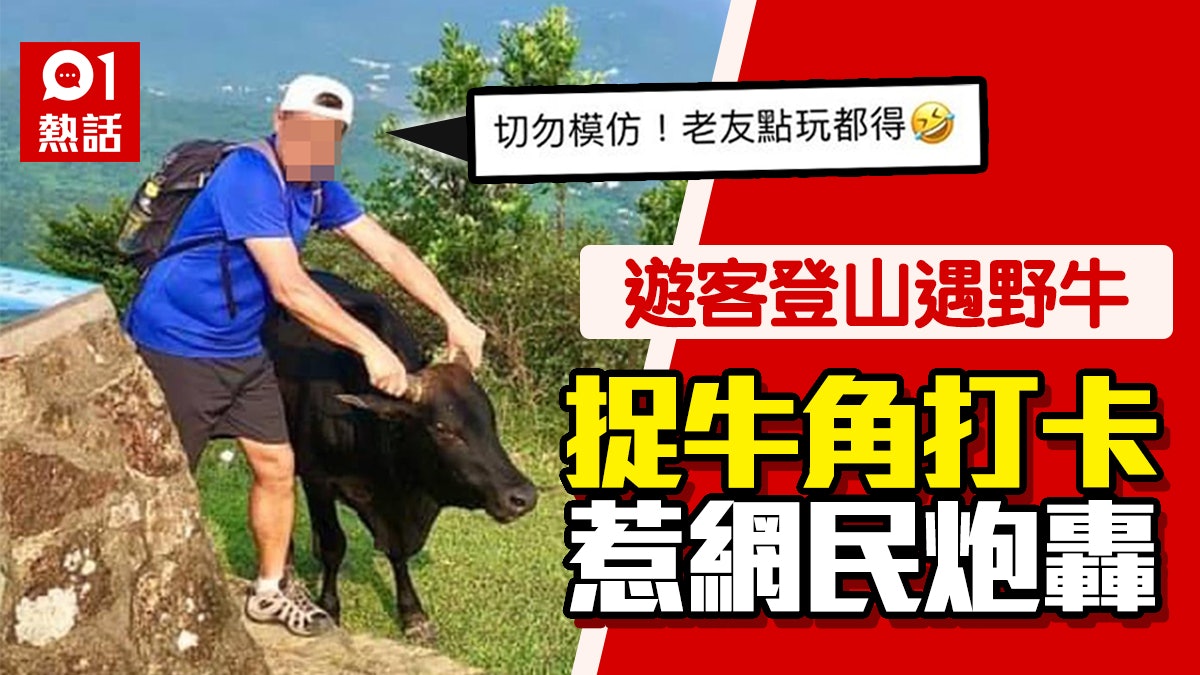 登山客捉野牛角打卡稱「老友點玩都得」 網民炮轟:影衰晒行山界 登山客捉野牛角打卡稱「老友點玩都得」 網民炮轟:影衰晒行山界