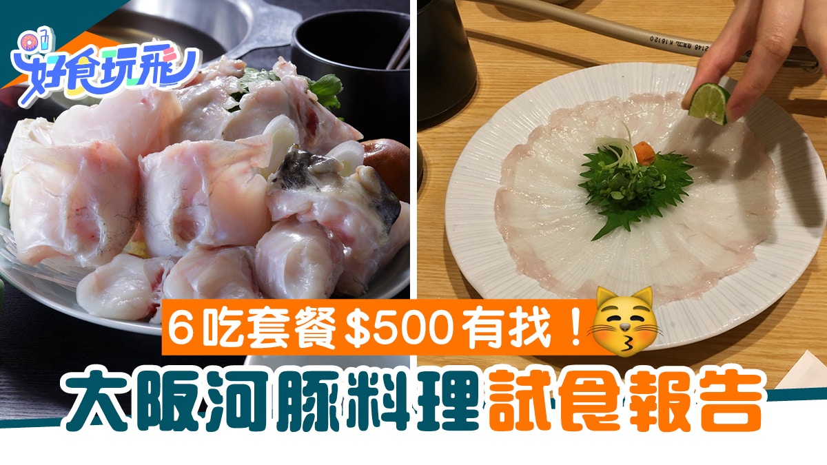 大阪試食 河豚料理6吃套餐 500有找 鮮甜滋味洋妞初試即愛上
