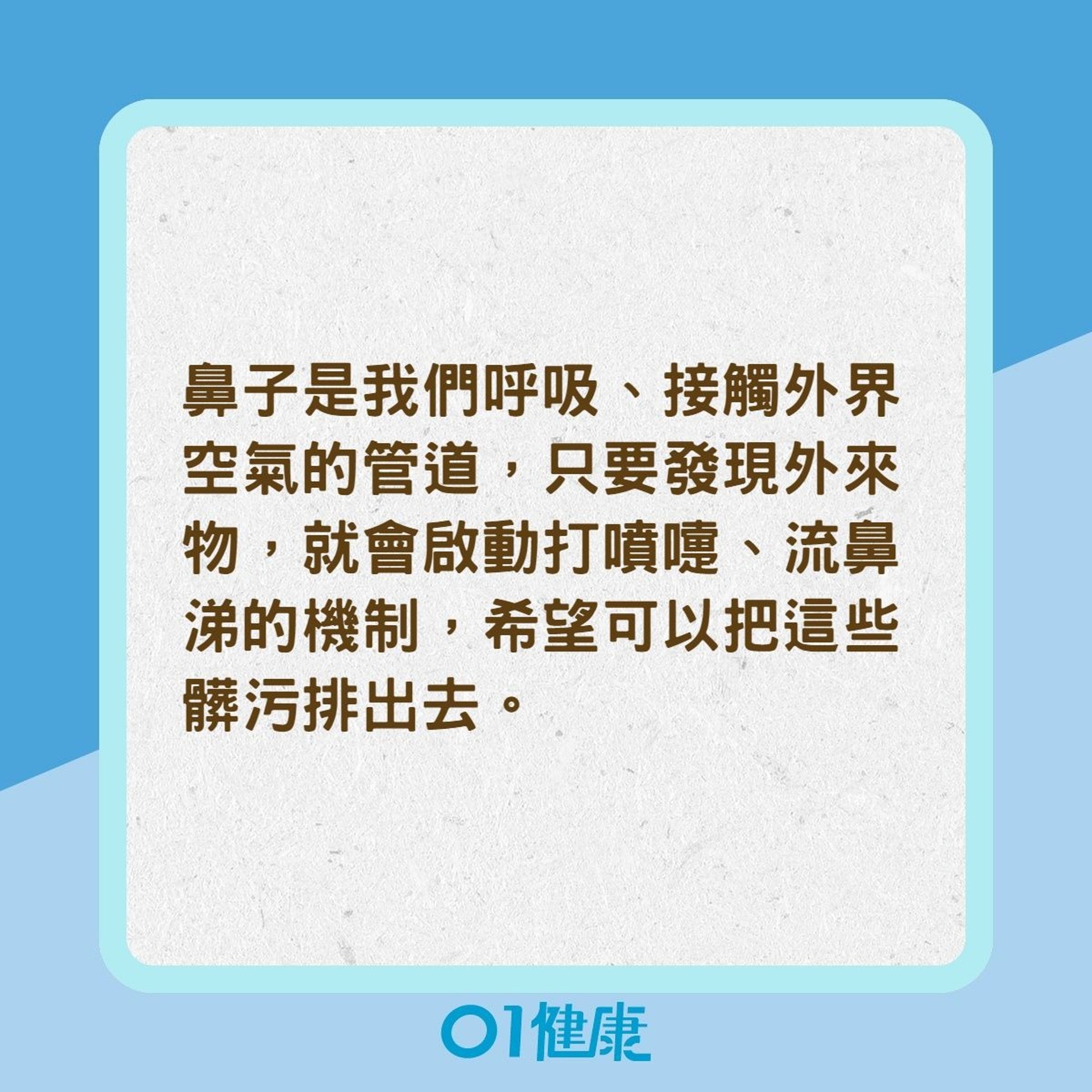 鼻子的症狀怎麽分?(01製圖) 鼻子的症狀怎麽分?(01製圖)