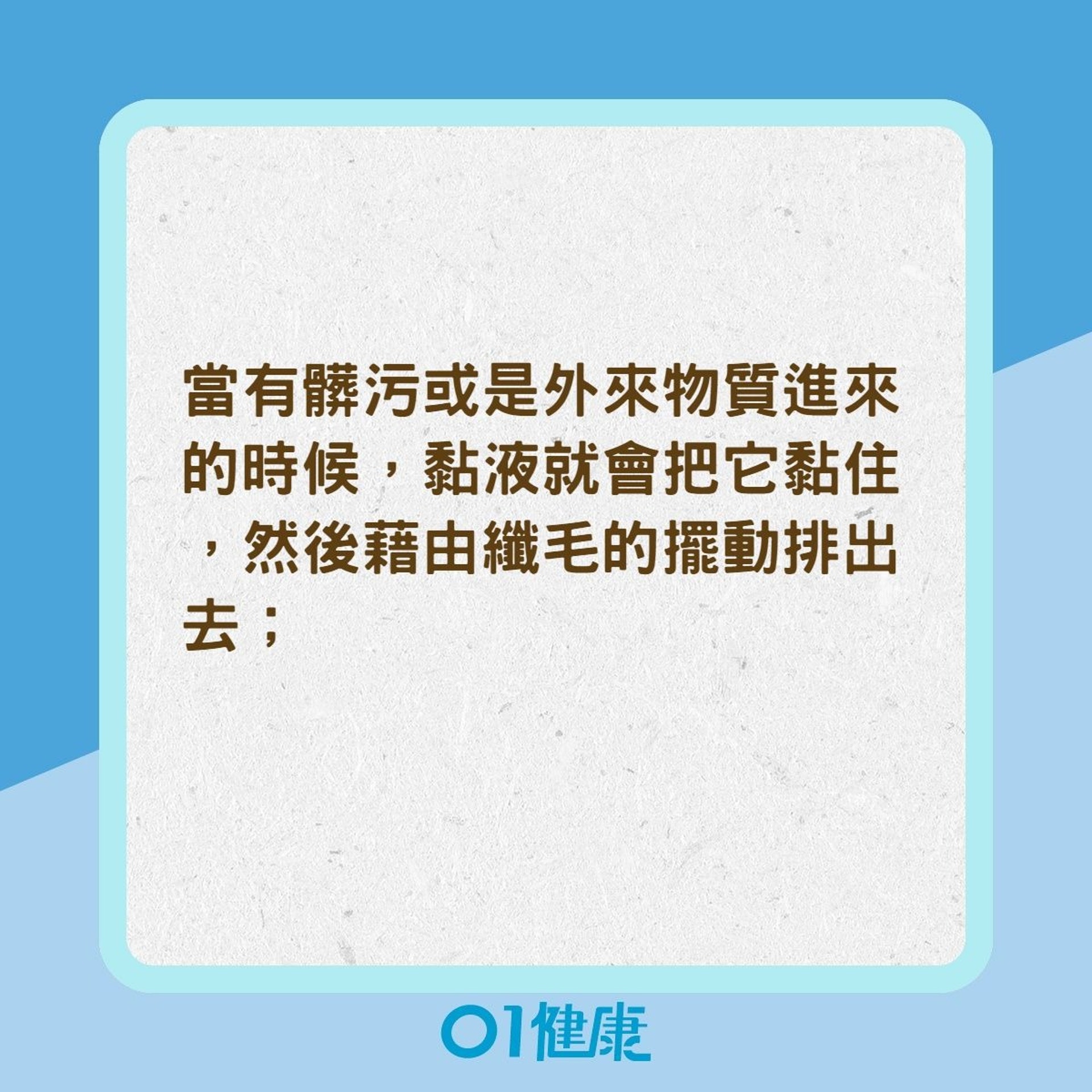 鼻子的症狀怎麽分?(01製圖) 鼻子的症狀怎麽分?(01製圖)