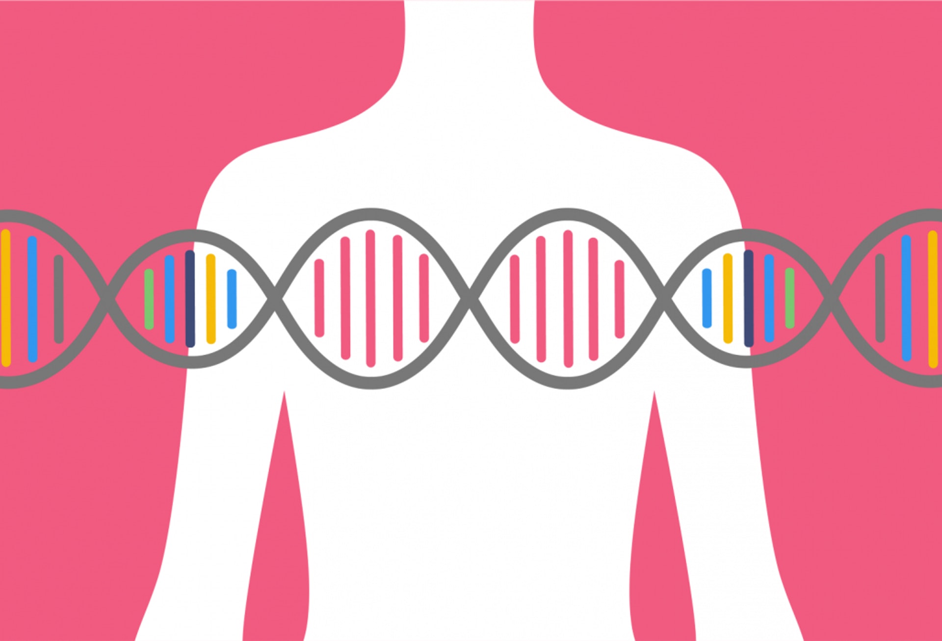 帶有遺傳性基因的女性,患上癌症的風險更高。(圖片:geneticliteracyproject.org) 帶有遺傳性基因的女性,患上癌症的風險更高。(圖片:geneticliteracyproject.org)