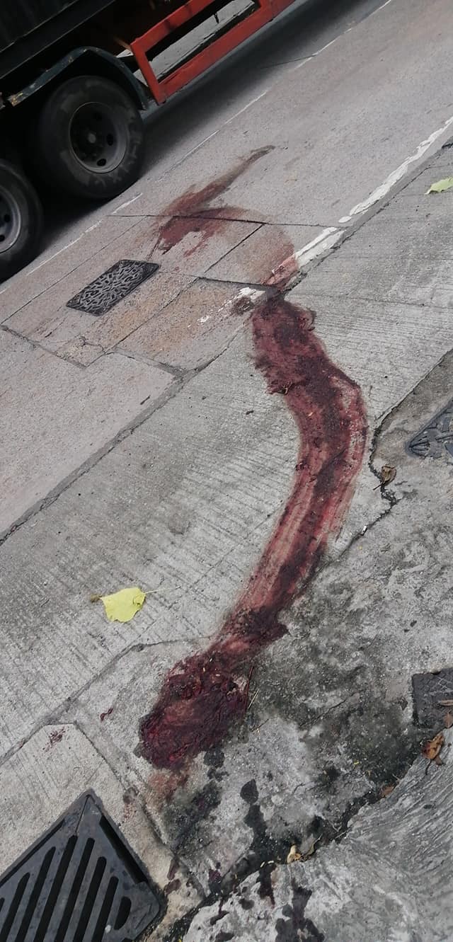 馬路留下了一條血路。(受訪者提供) 馬路留下了一條血路。(受訪者提供)