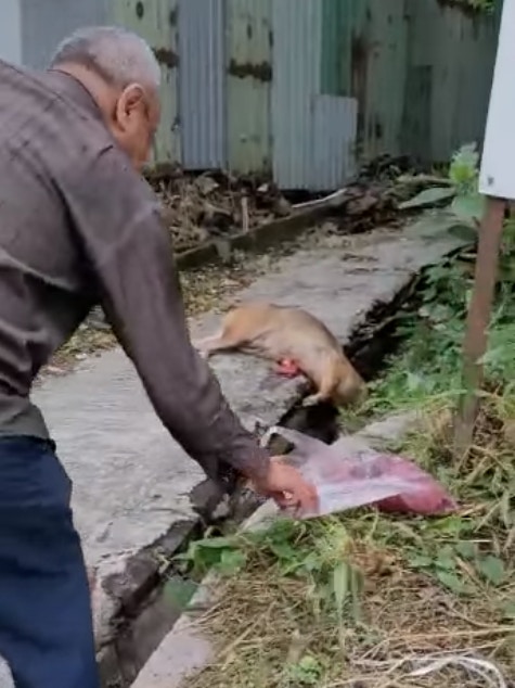 結果老伯出爾反爾,離開途中又撿起那袋狗內臟(受訪者提供) 結果老伯出爾反爾,離開途中又撿起那袋狗內臟(受訪者提供)