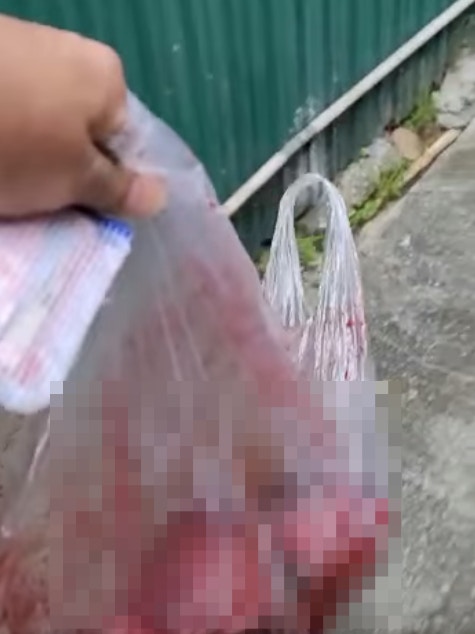 高小姐聯絡動物收屍人「文哥」到場收屍。(受訪者提供) 高小姐聯絡動物收屍人「文哥」到場收屍。(受訪者提供)