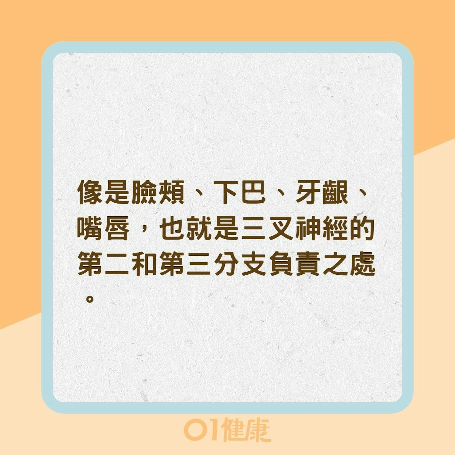 三叉神經痛的臨床特徵(01製圖) 三叉神經痛的臨床特徵(01製圖)
