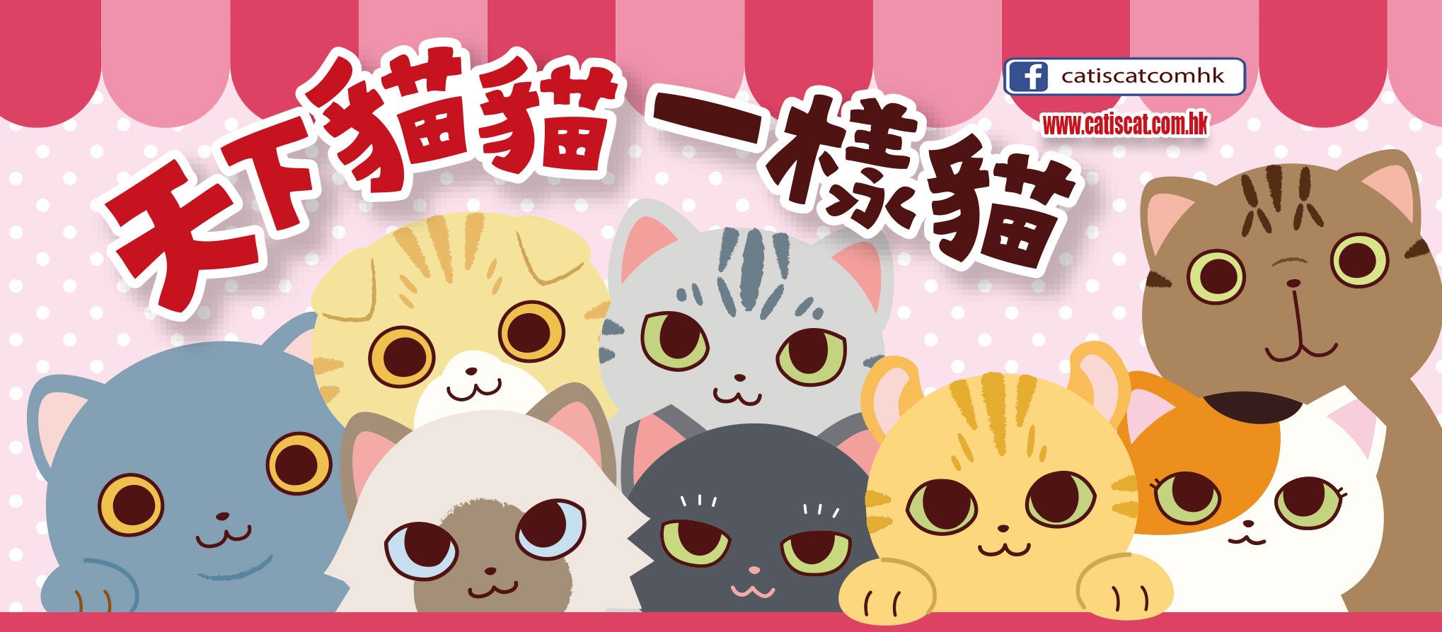 天下貓貓一樣貓群組忽然遭facebook刪除。(天下貓貓一樣貓圖片) 天下貓貓一樣貓群組忽然遭facebook刪除。(天下貓貓一樣貓圖片)