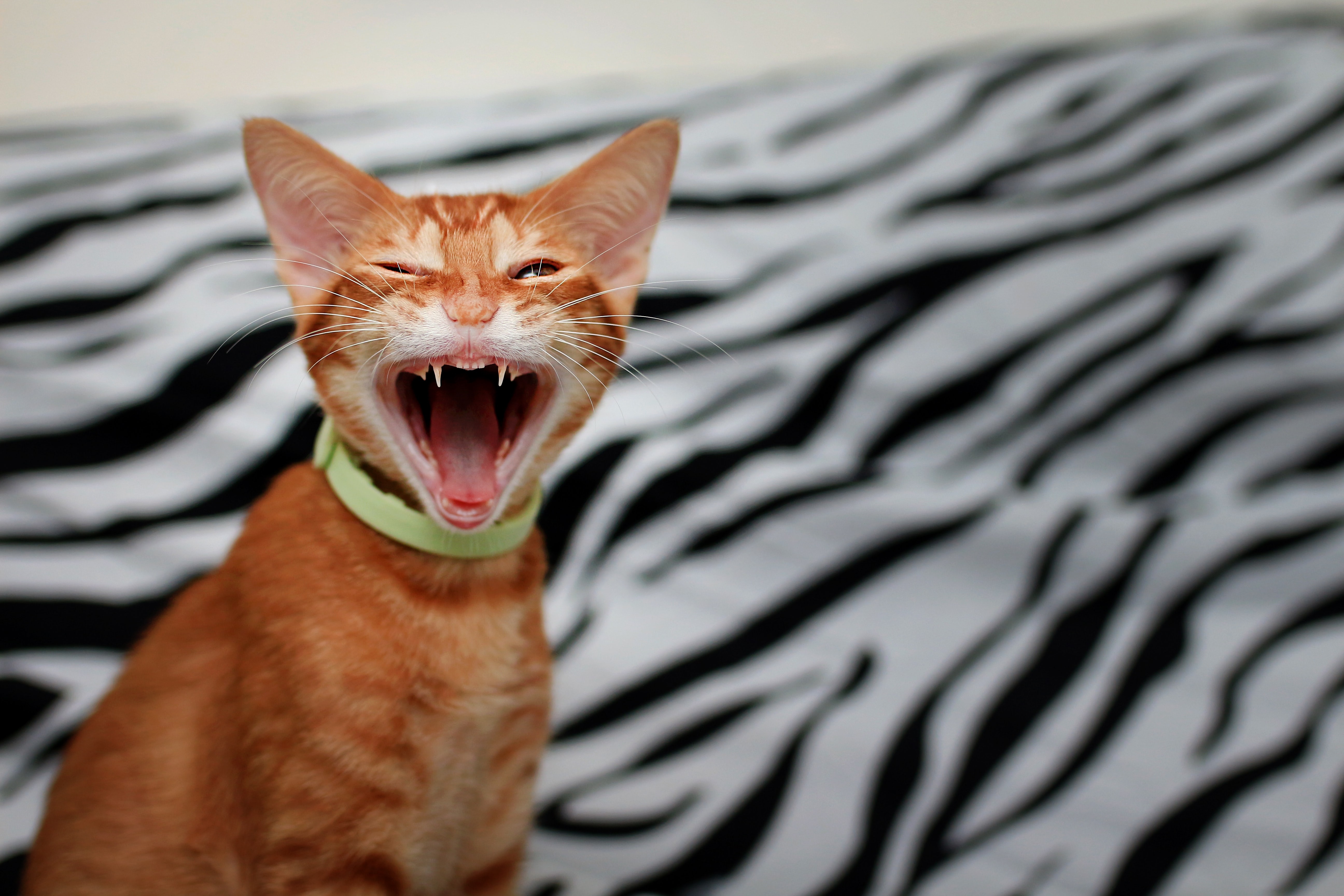 創辦人Antony Leung今日(10月16日)接受《香港01》訪問時表示:「唔知發生咩事。」(示意圖/unsplash) 創辦人Antony Leung今日(10月16日)接受《香港01》訪問時表示:「唔知發生咩事。」(示意圖/unsplash)