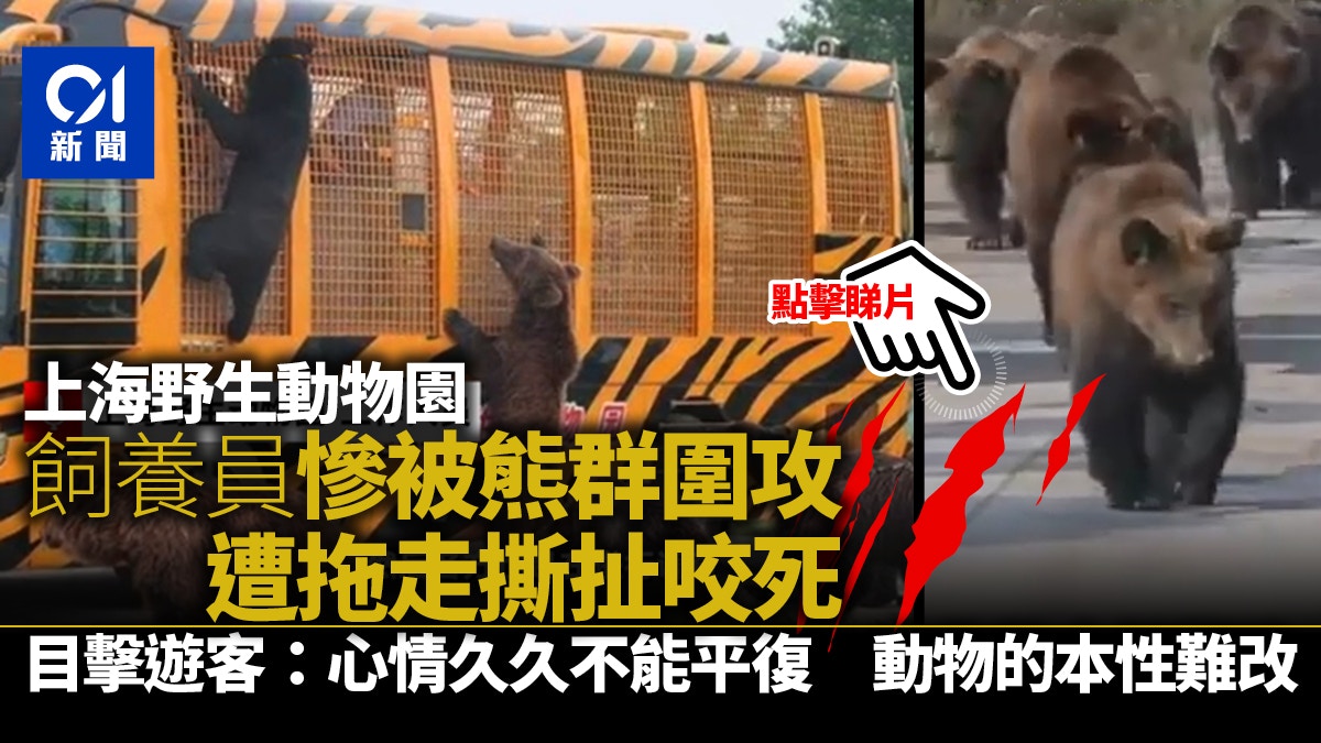 野性悲歌 飼育員遭熊群 撕咬肢解 吃掉遊客全目睹tvbs新聞網 Glbnews Com 野性悲歌 飼育員遭熊群 撕咬肢解 吃掉遊客全目睹tvbs新聞網 Glbnews Com