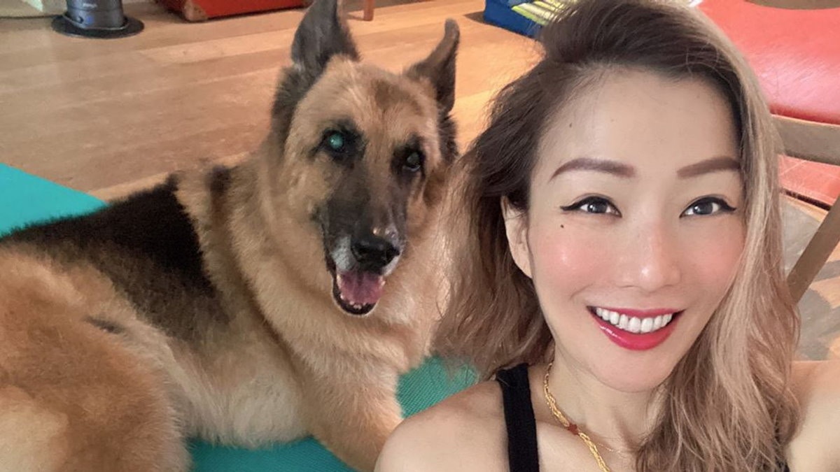 鄭秀文愛犬Lucky離世　她在狗狗晚年做的6件事　很多狗主也做不到