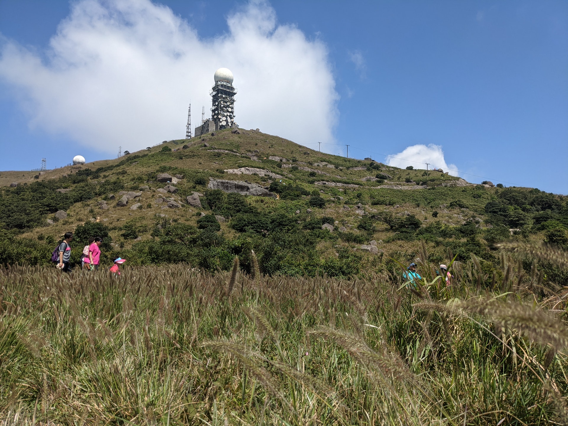 不少登山客都會在此與狗尾草留影。（李琬瑩攝）