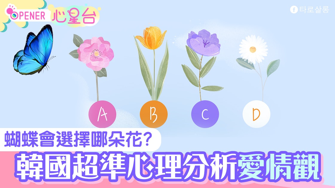 蝴蝶會先飛到哪朵花上?韓國心理測驗 測你戀愛態度和合適對象 蝴蝶會先飛到哪朵花上?韓國心理測驗 測你戀愛態度和合適對象