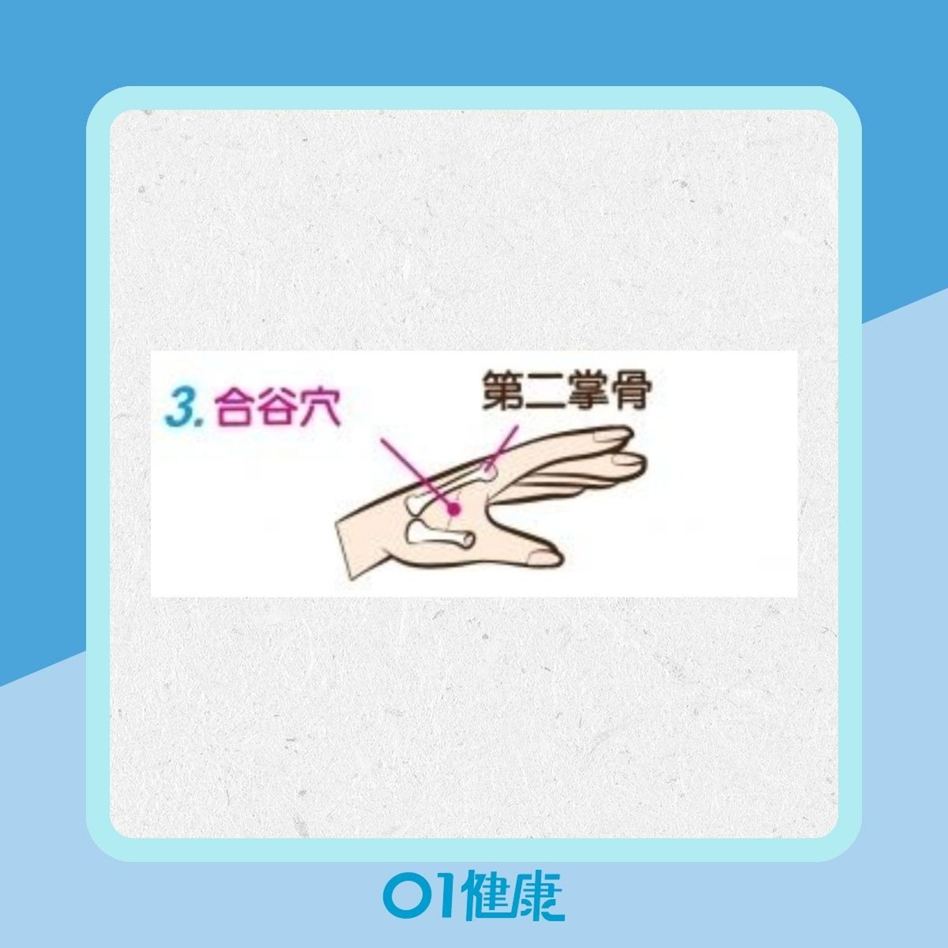 5穴道改善鼻敏感(01製圖/健談授權使用) 5穴道改善鼻敏感(01製圖/健談授權使用)