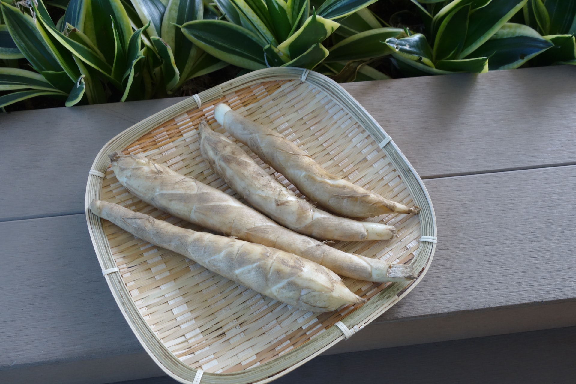 秋天湯水食譜 五指毛桃竹芋粟米湯潤肺止咳氣管敏感最啱飲 秋天湯水食譜 五指毛桃竹芋粟米湯潤肺止咳氣管敏感最啱飲