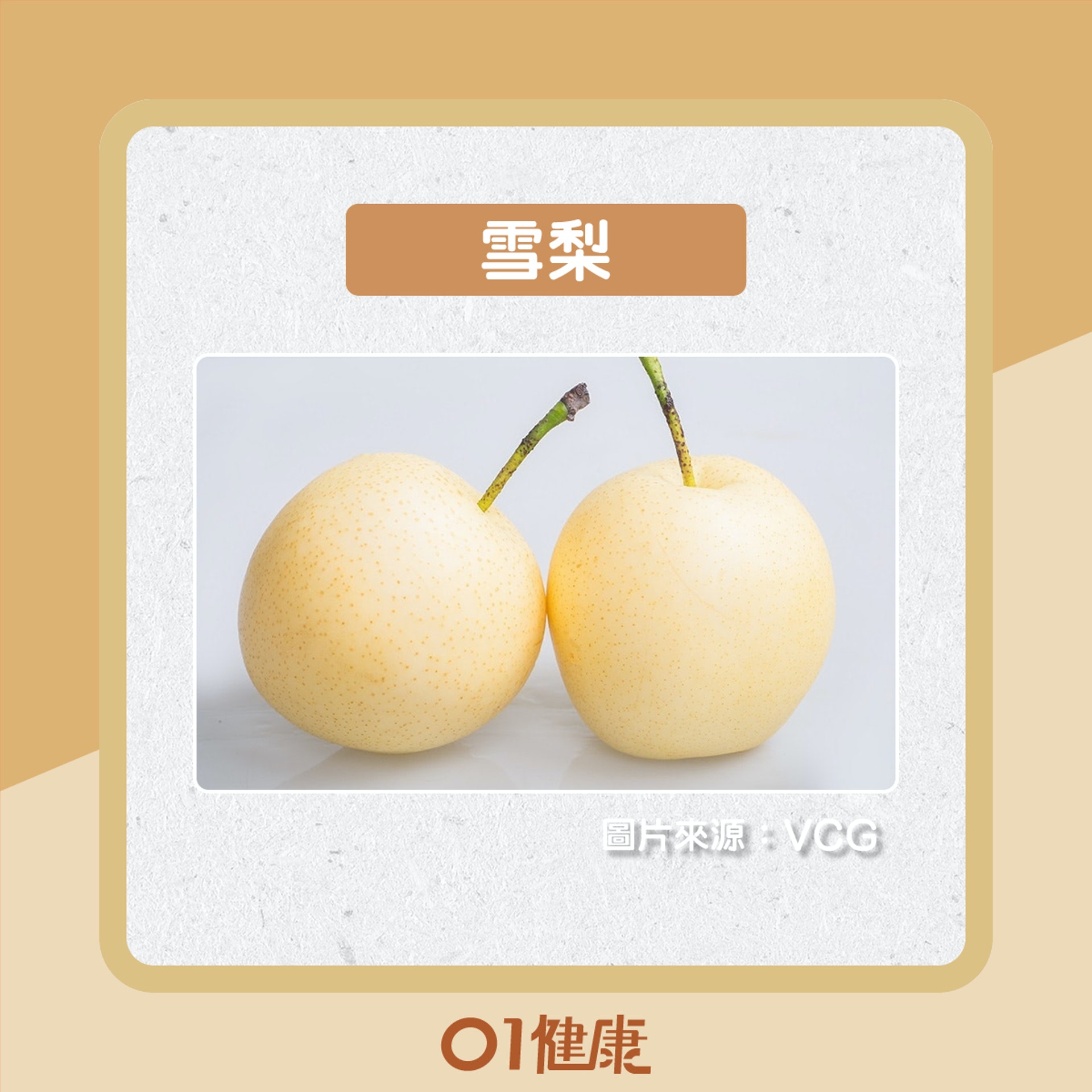 不同品種的梨有什麼分別?(01製圖) 不同品種的梨有什麼分別?(01製圖)