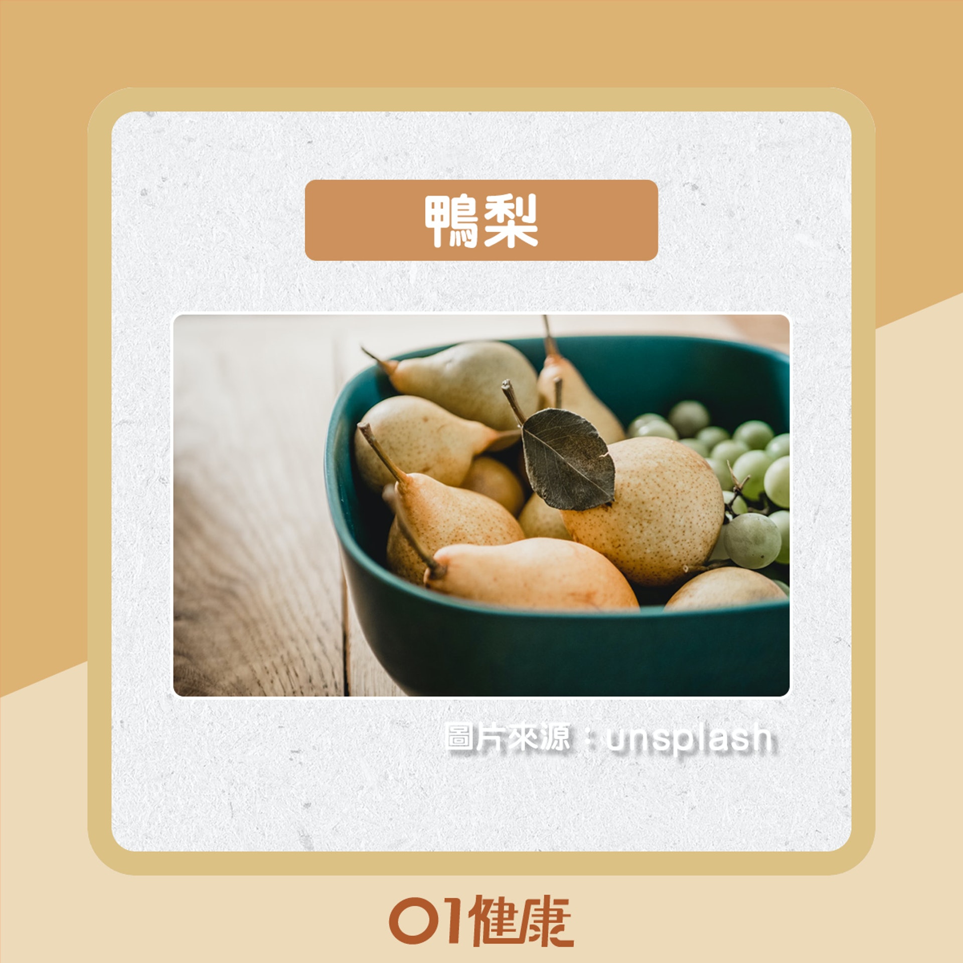 不同品種的梨有什麼分別?(01製圖) 不同品種的梨有什麼分別?(01製圖)