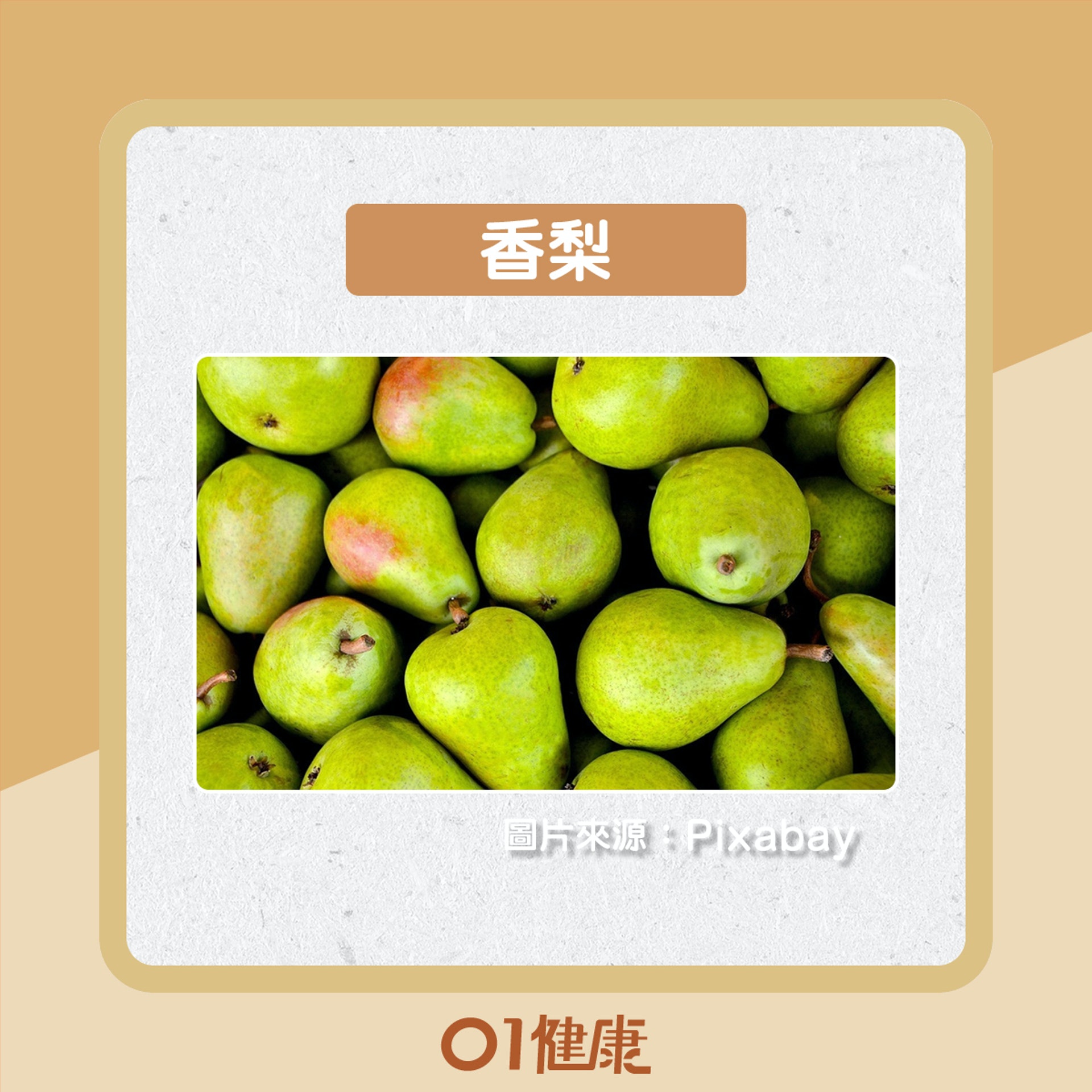 不同品種的梨有什麼分別?(01製圖) 不同品種的梨有什麼分別?(01製圖)