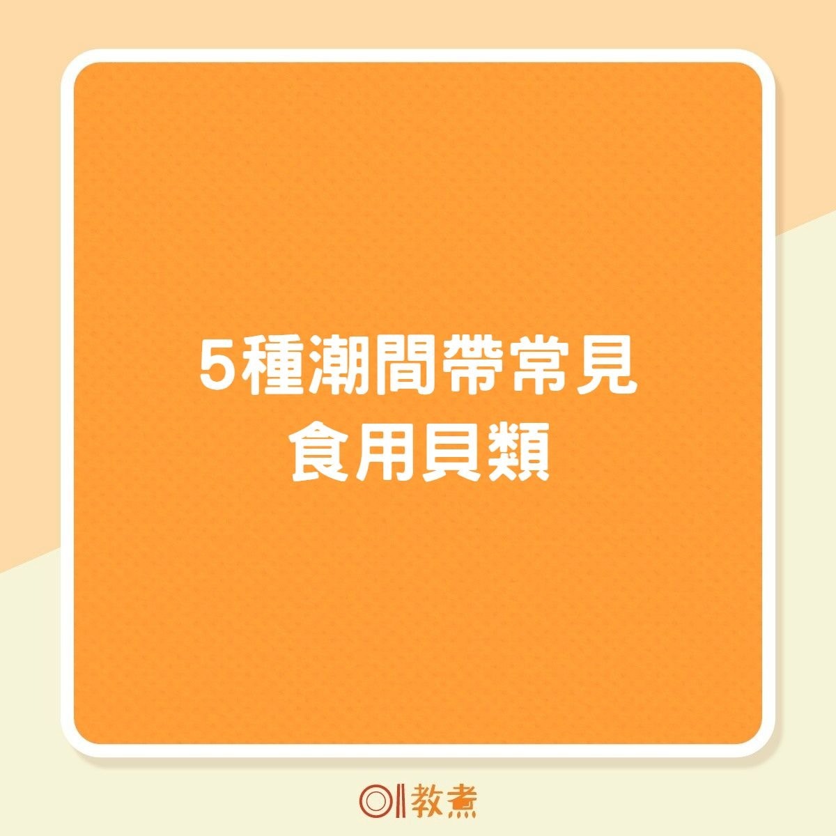 生蠔扇貝5種潮間帶食用貝類蒸炒煮炸點煮最鮮味邊種最啱烤