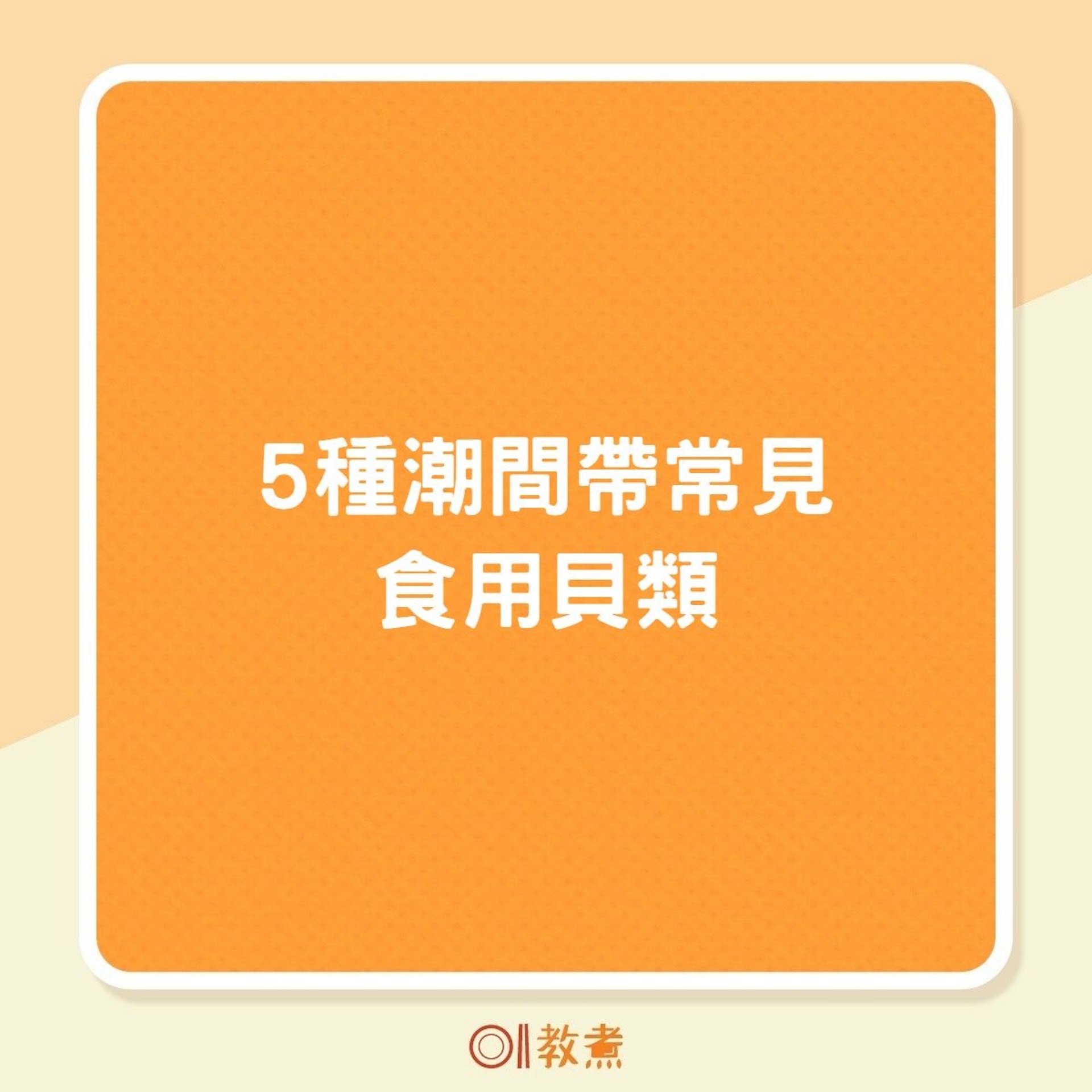 生蠔扇貝5種潮間帶食用貝類蒸炒煮炸點煮最鮮味邊種最啱烤 生蠔扇貝5種潮間帶食用貝類蒸炒煮炸點煮最鮮味邊種最啱烤