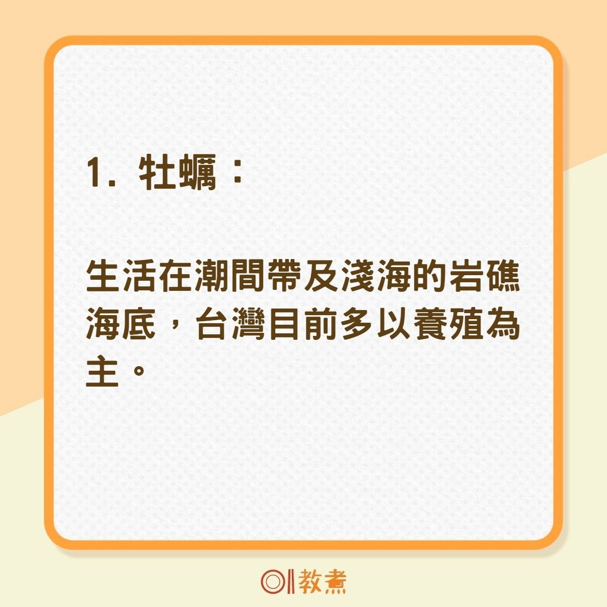 生蠔扇貝5種潮間帶食用貝類蒸炒煮炸點煮最鮮味邊種最啱烤